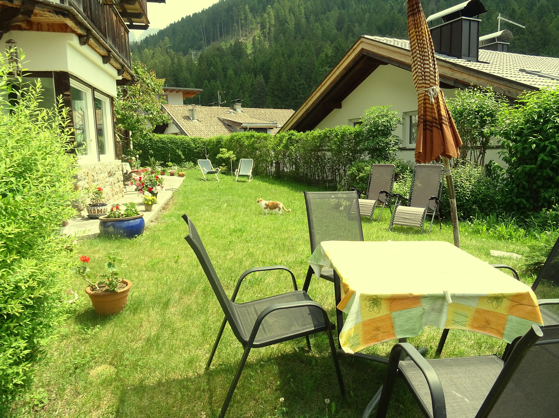 giardino