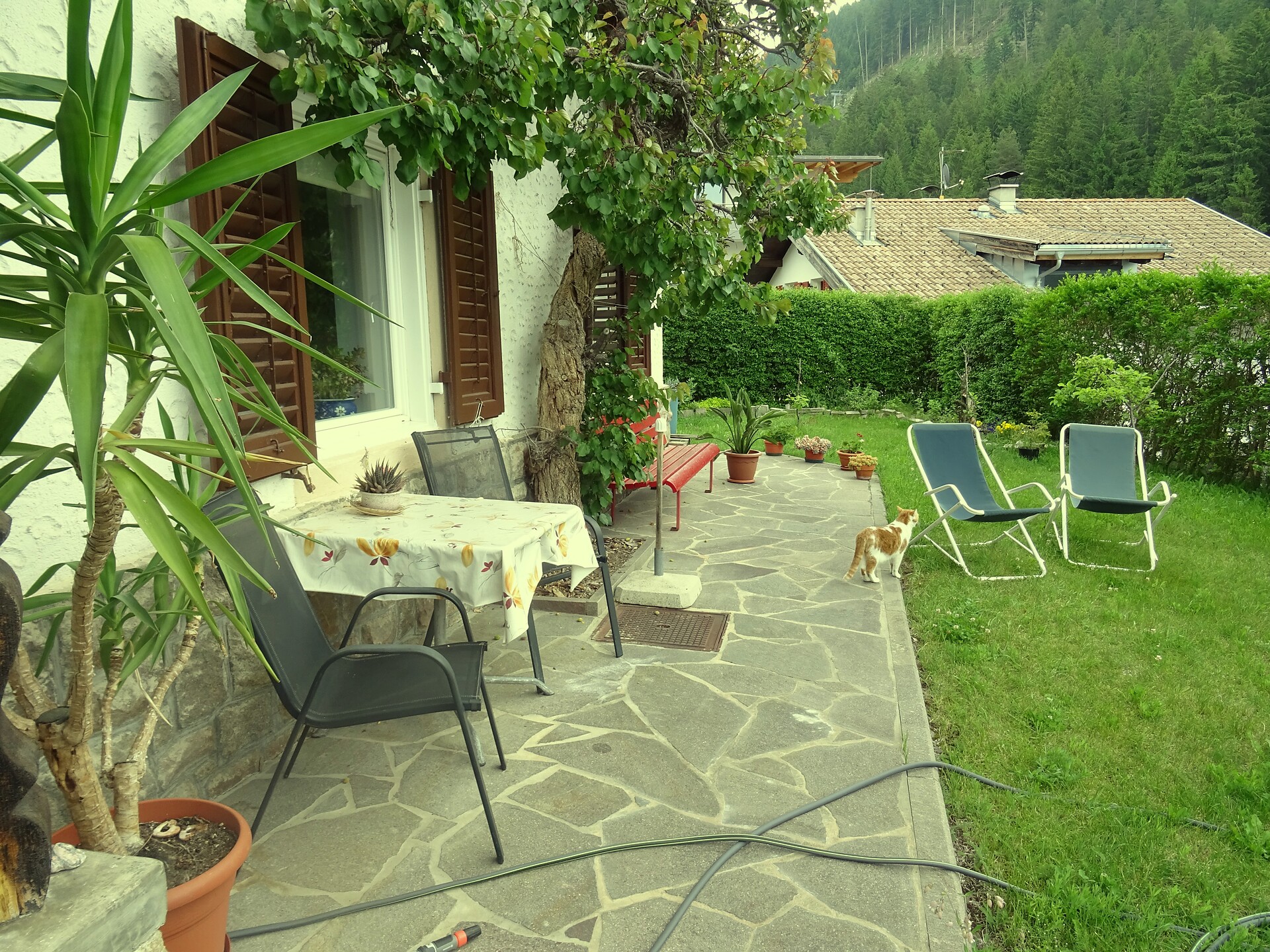 giardino