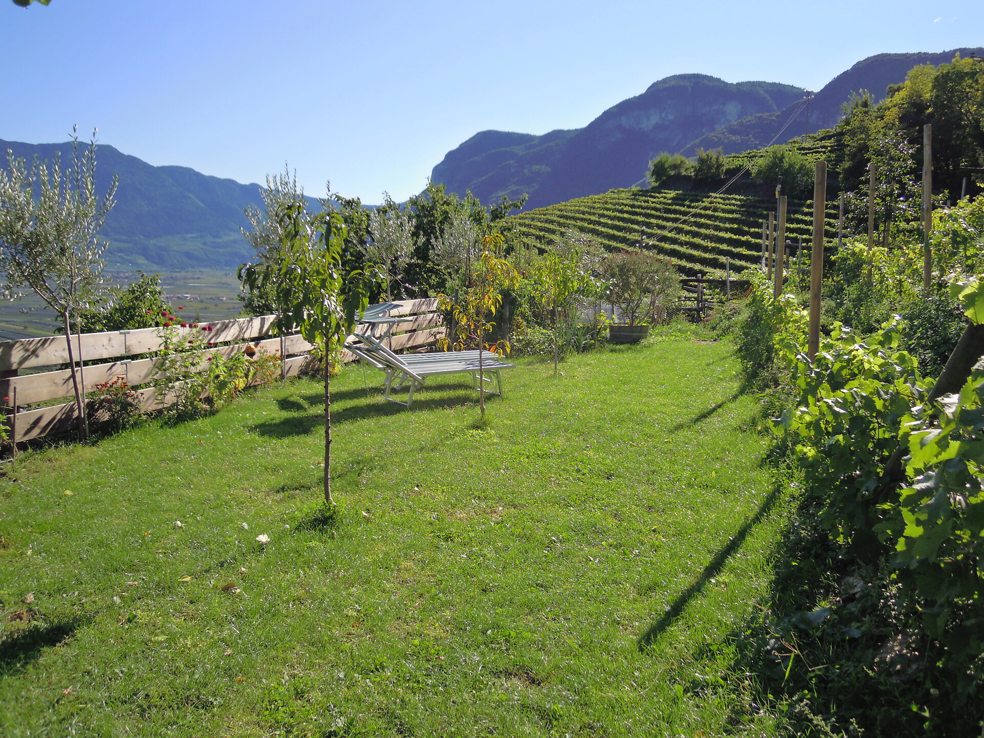 Garten