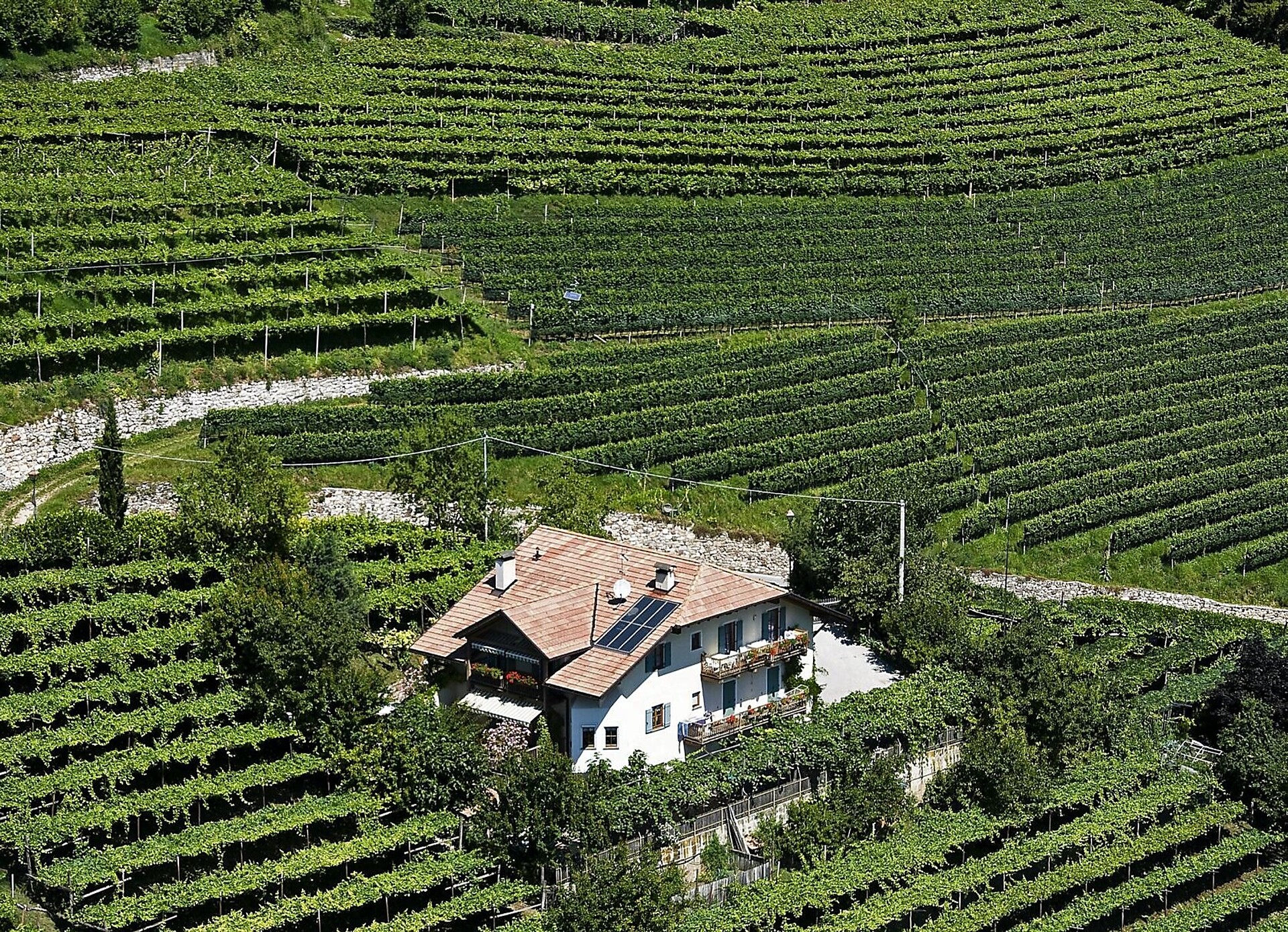 Hof am Rain - Südtiroler Weinstraße - #2 - suedtirol.info