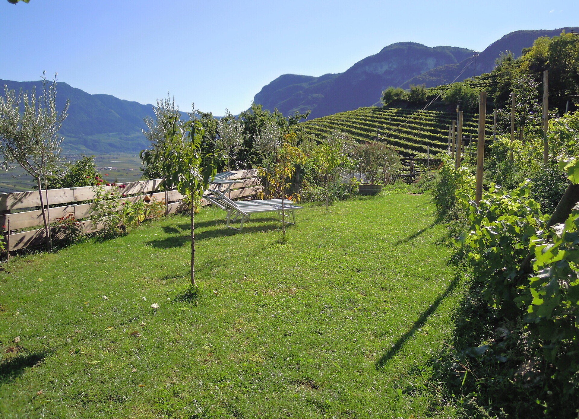 Hof am Rain - Alto Adige Wine Road - #4 - suedtirol.info