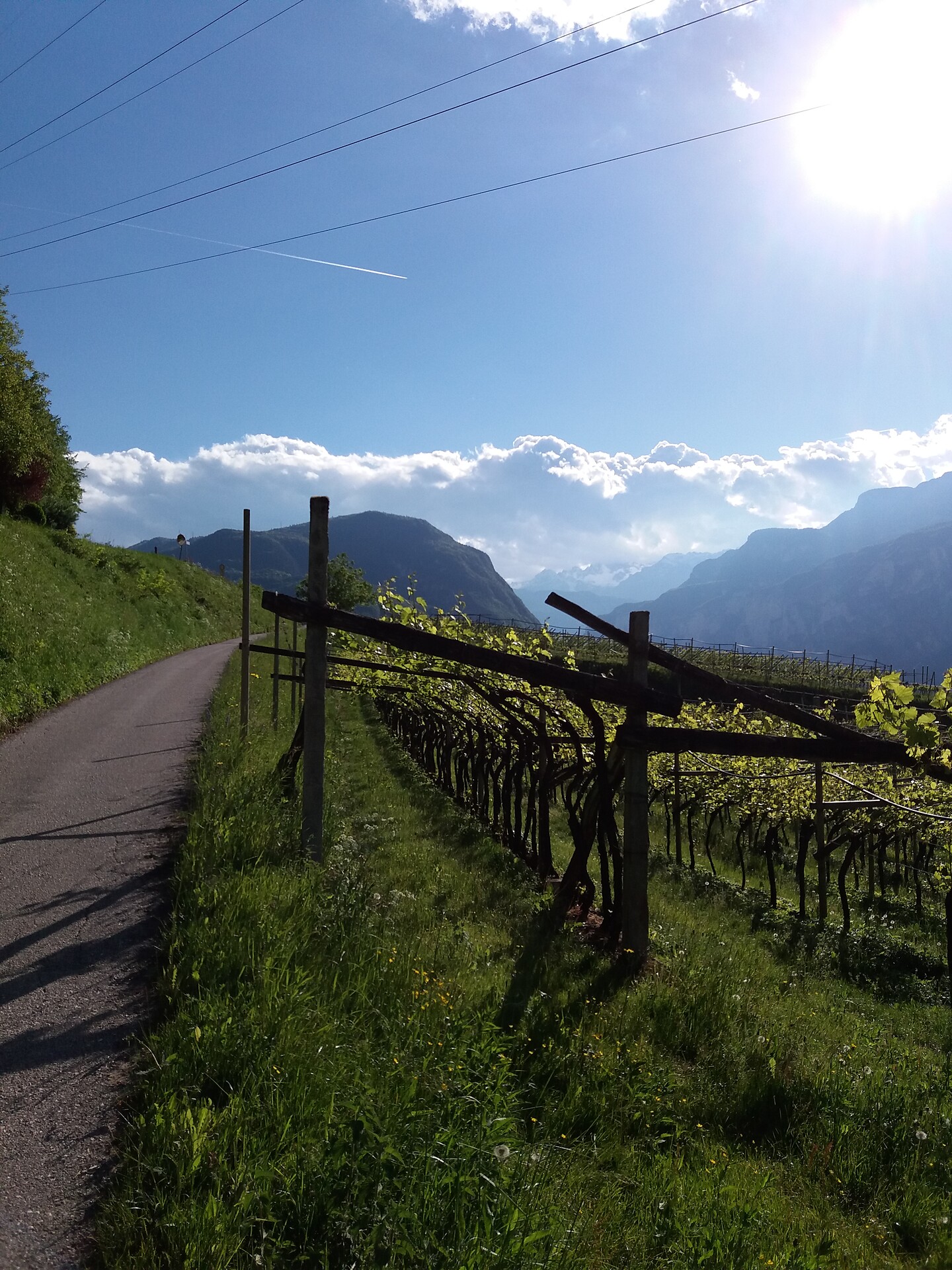 Hotel Klammhof - Strada del Vino - #9 - suedtirol.info