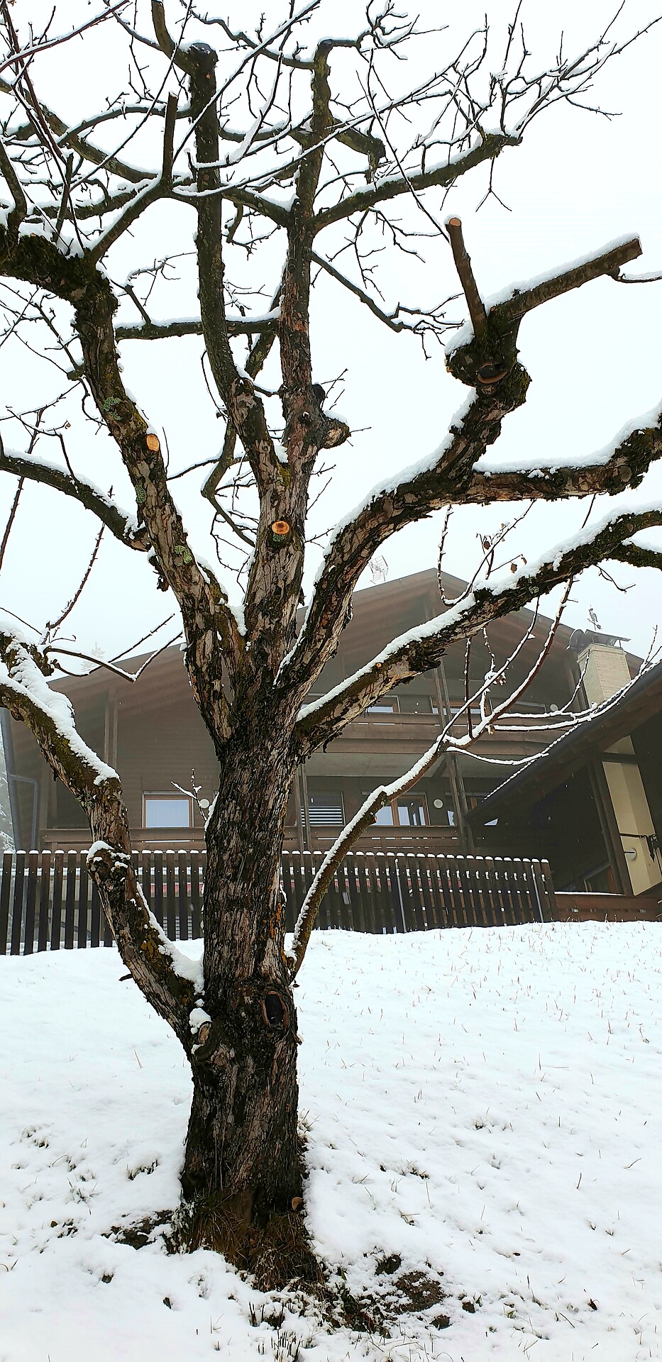 Haus Percha Mountain Apartment