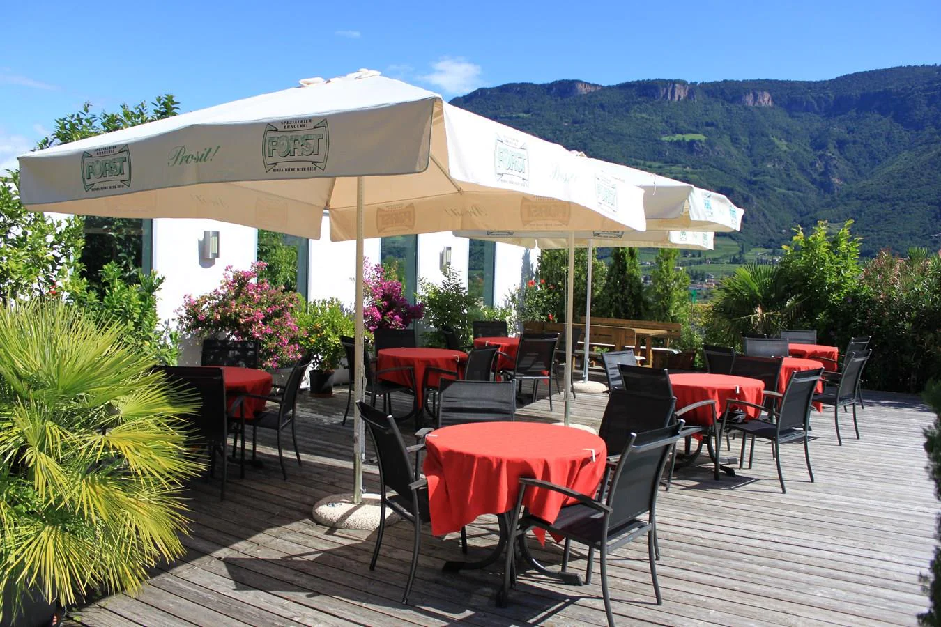 Hotel Gantkofel Andriano 3 suedtirol.info