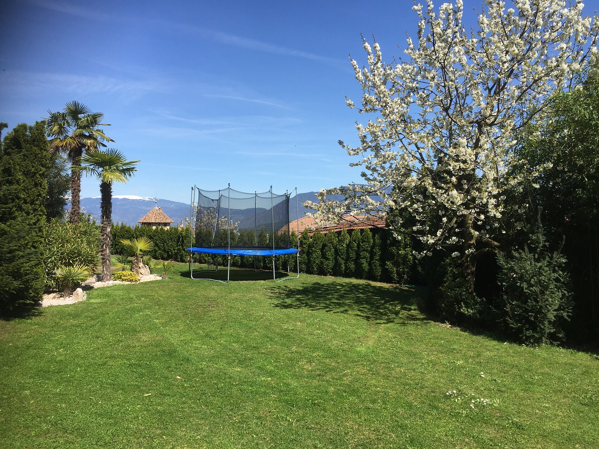 giardino