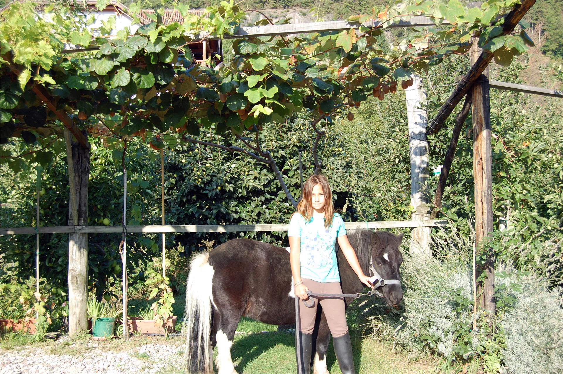 Heideggerhof Caldaro sulla Strada del Vino 11 suedtirol.info