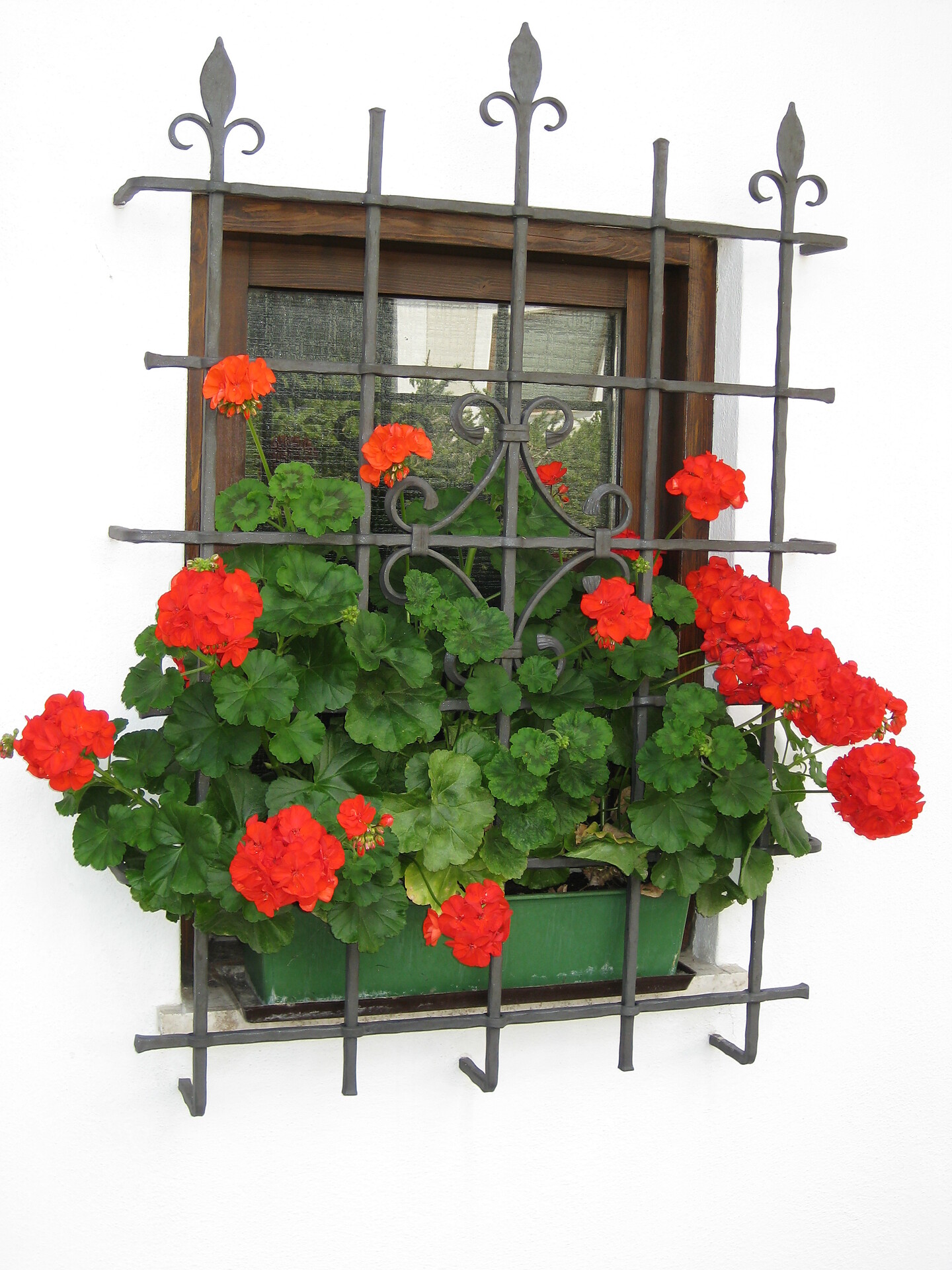 unsere Blumen