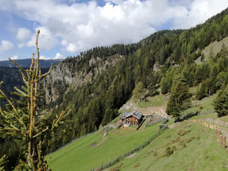 Parco dei Cervi Pfrein - casa in legno all'Alpe Chiusa 3 suedtirol.info