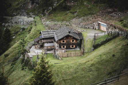 Parco dei Cervi Pfrein - casa in legno all'Alpe Chiusa 2 suedtirol.info