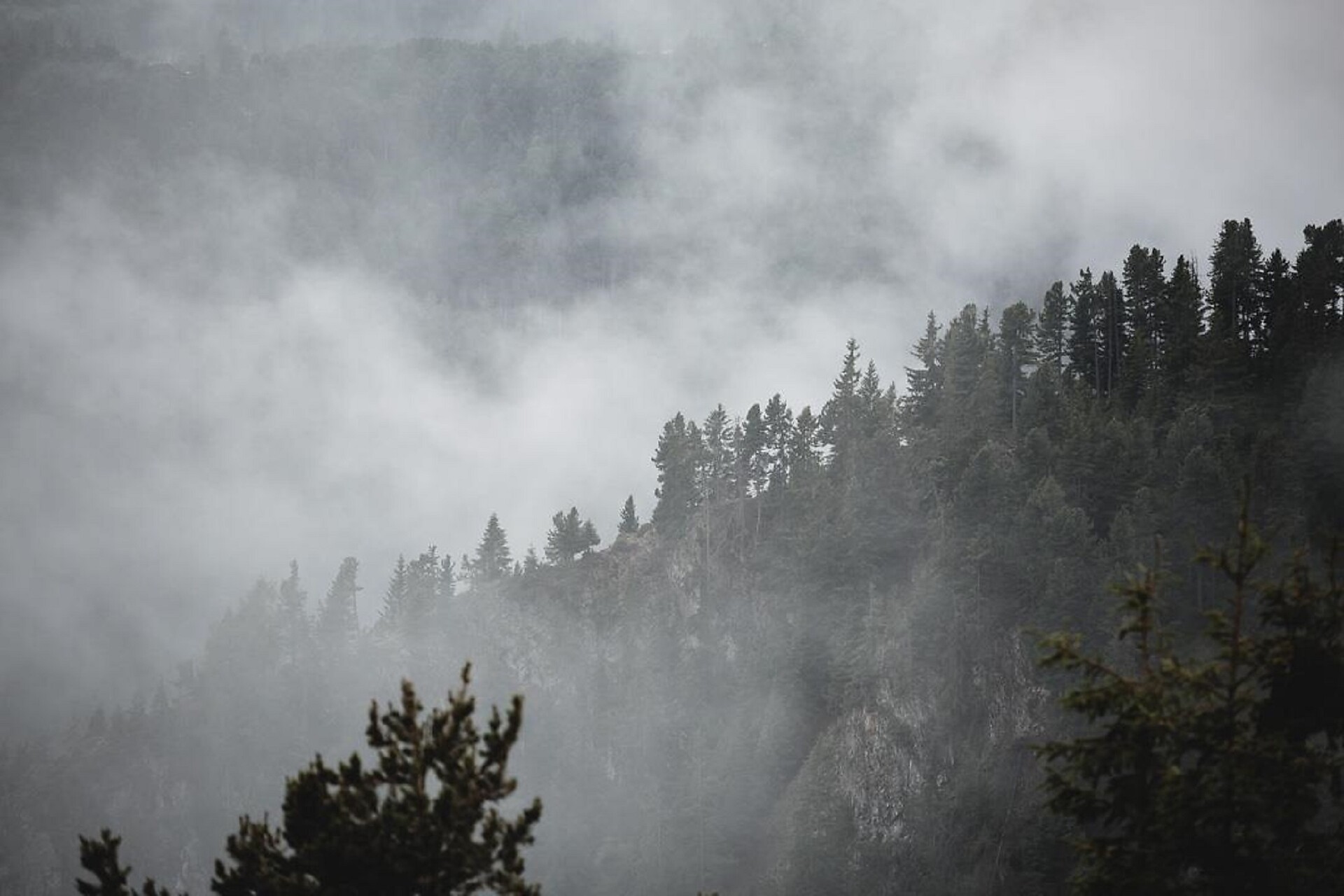 View of green mountain slopes