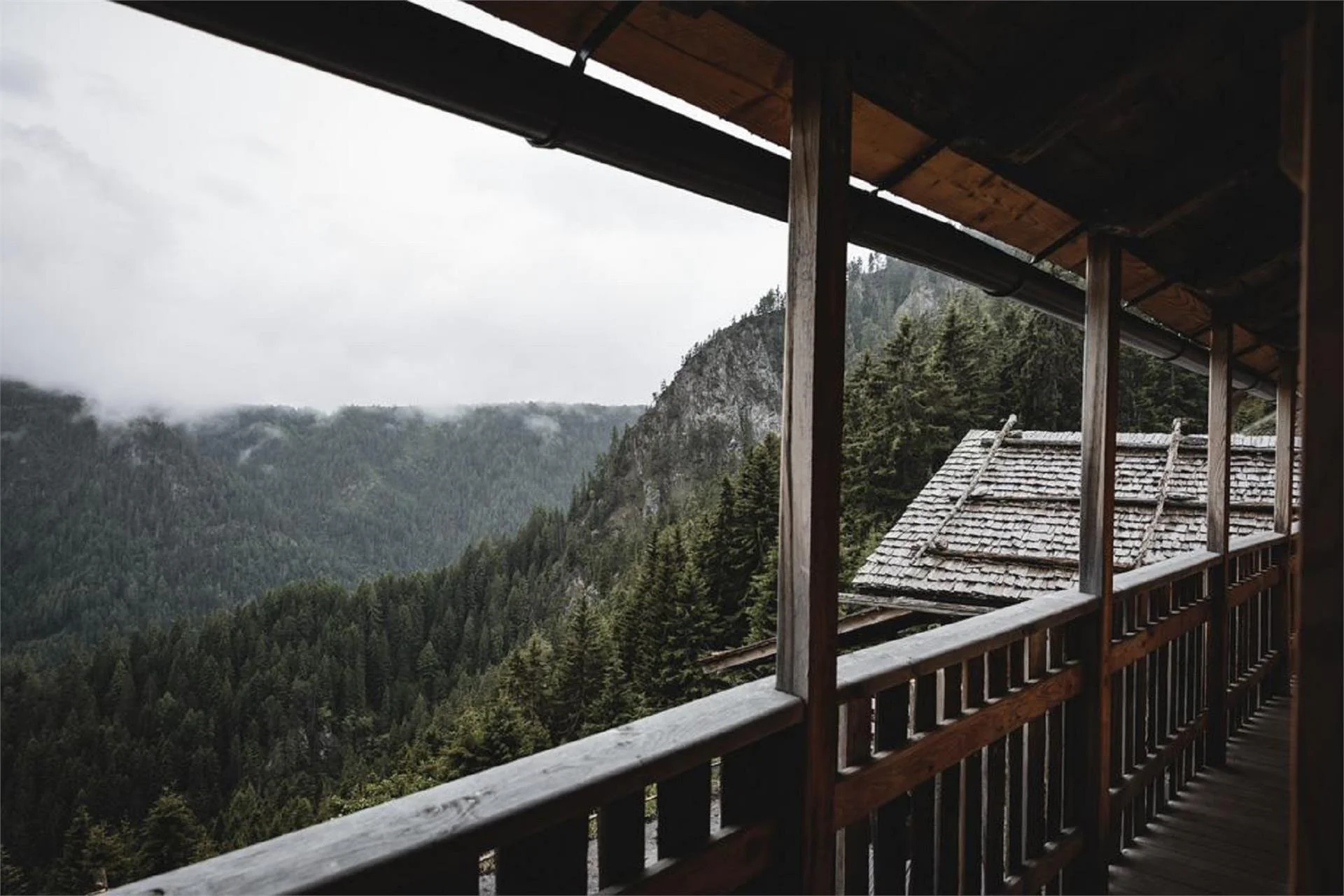 Parco dei Cervi Pfrein - casa in legno all'Alpe Chiusa 28 suedtirol.info