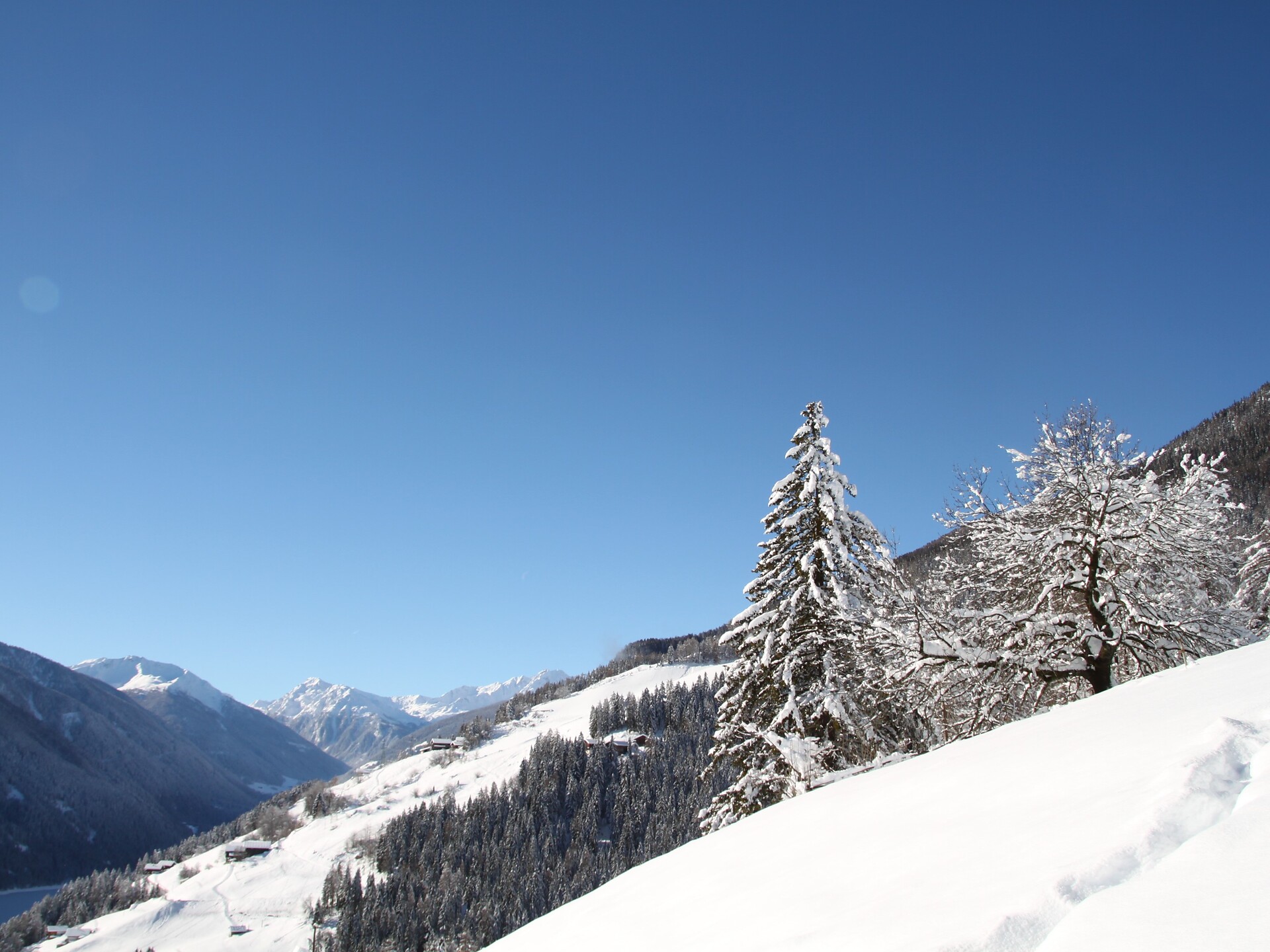 Winter