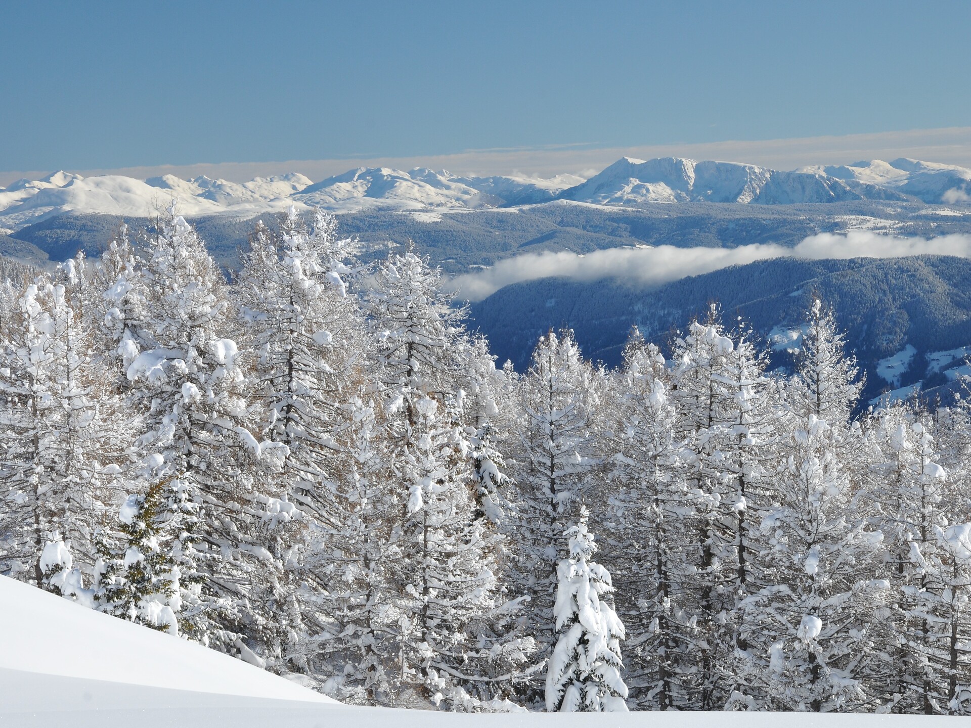 Winterlandschaft