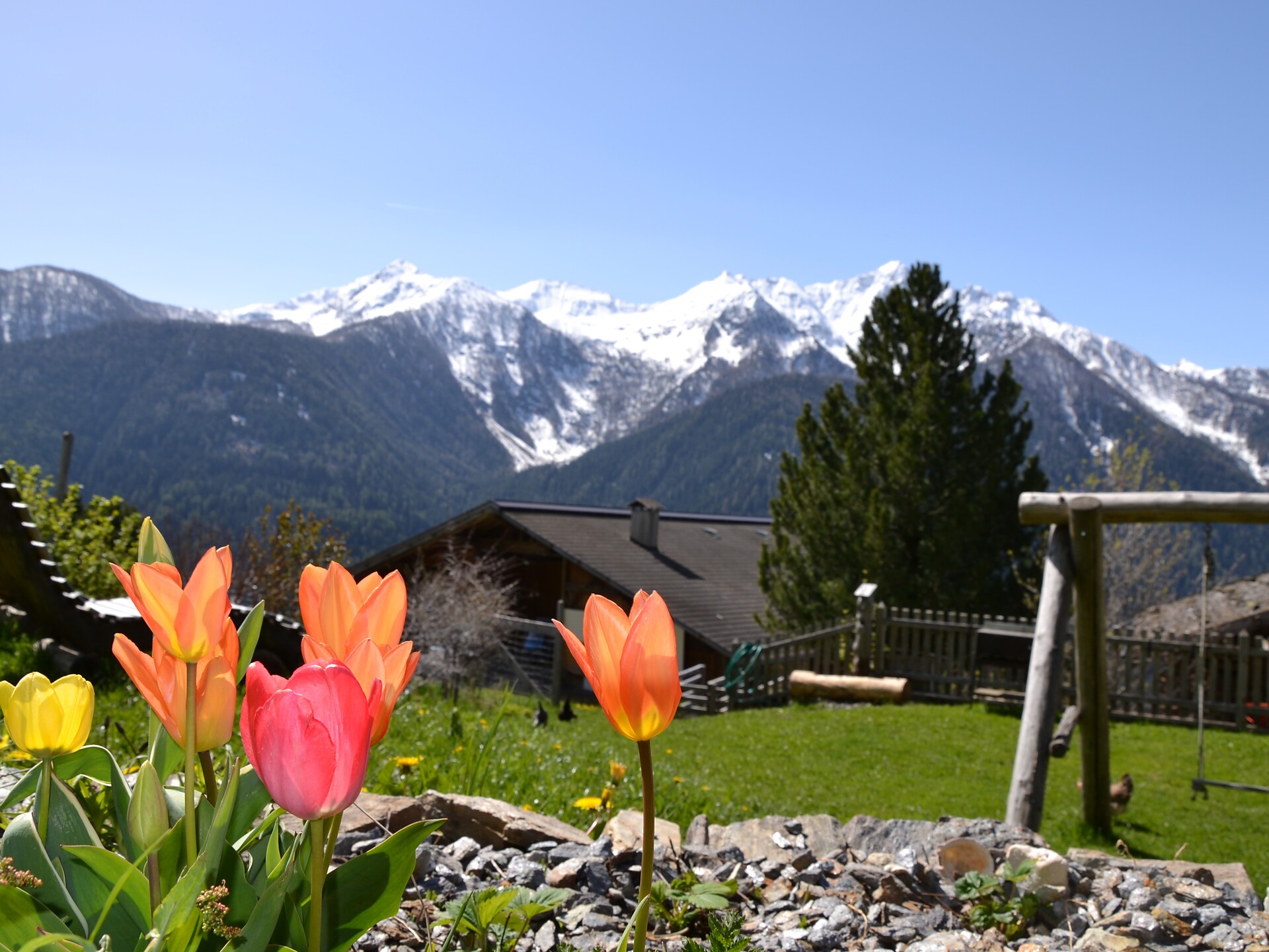 Garten