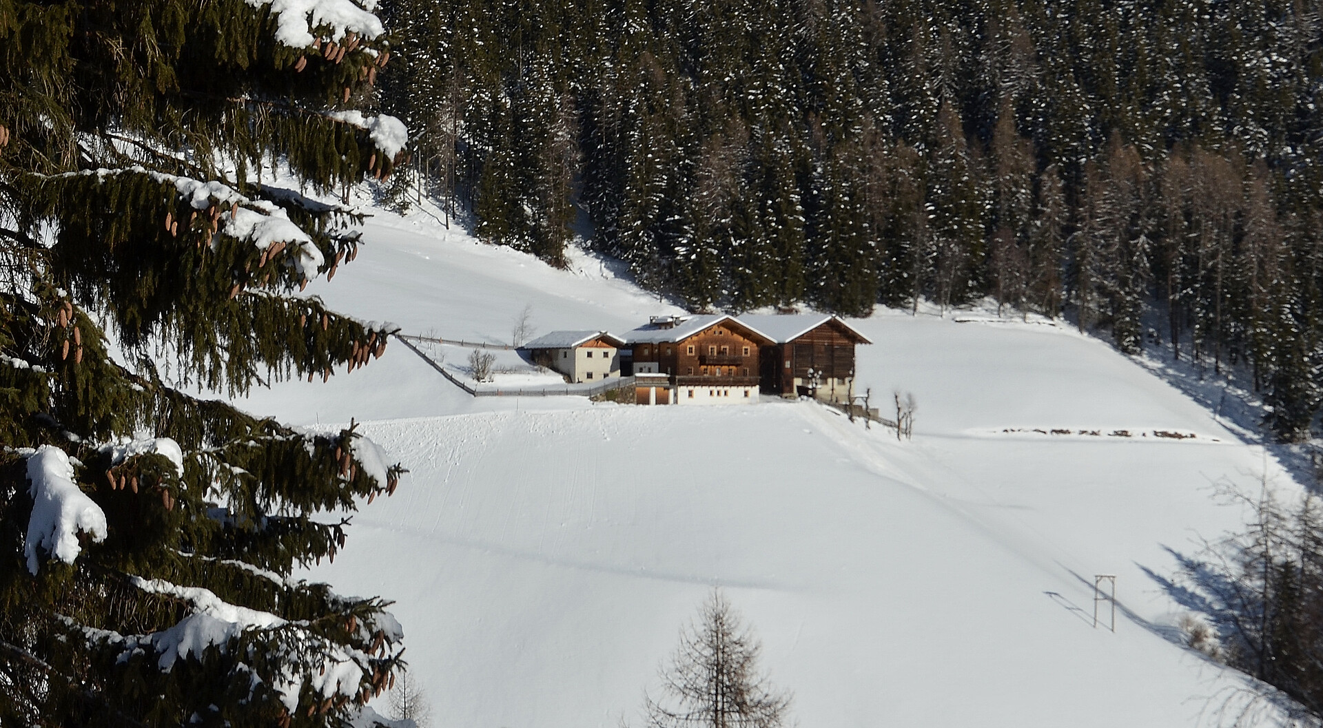 Thalhof Winter