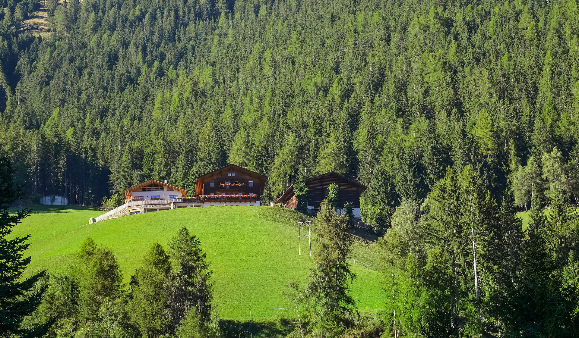 Thalhof