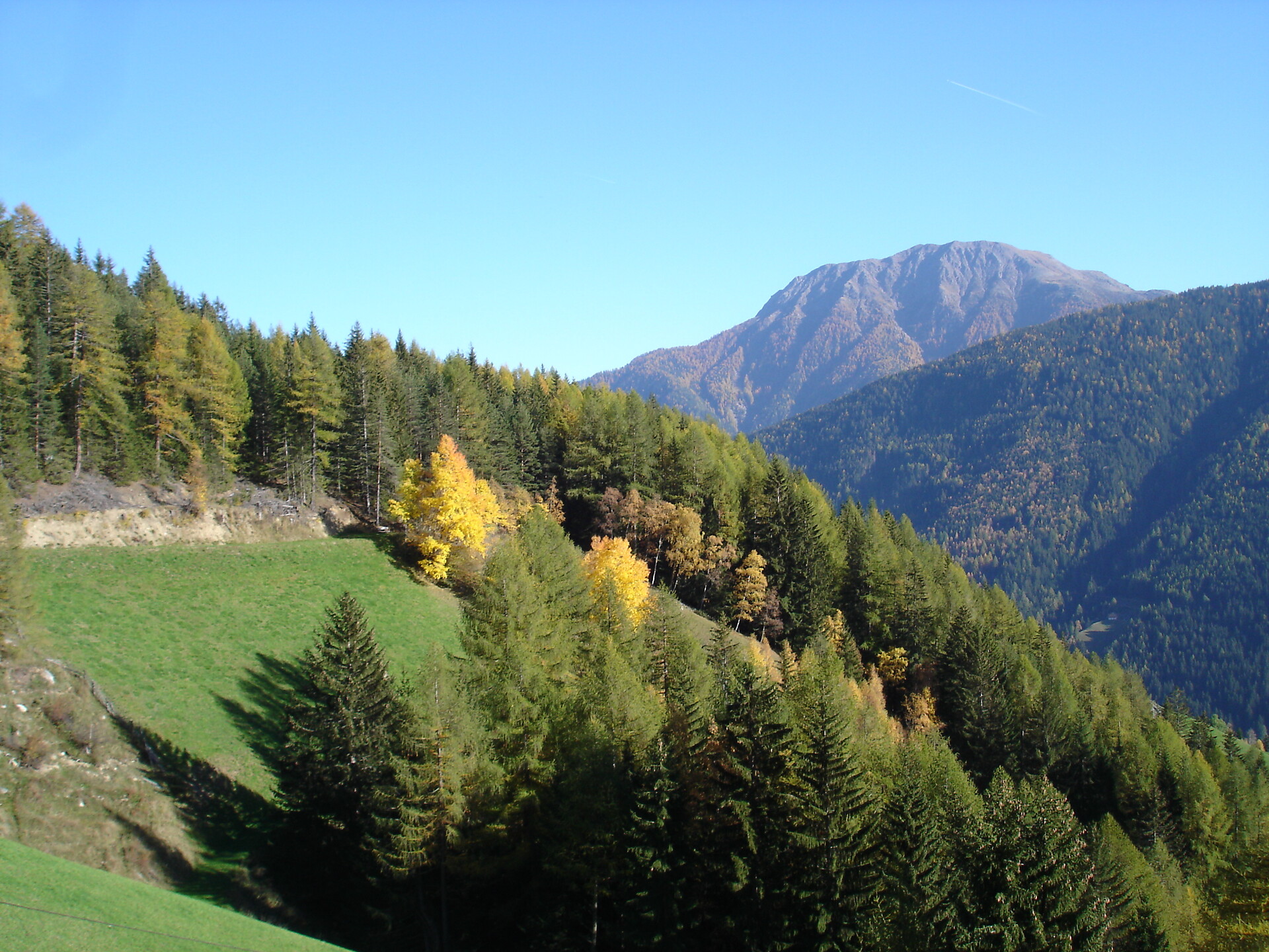 Autumn