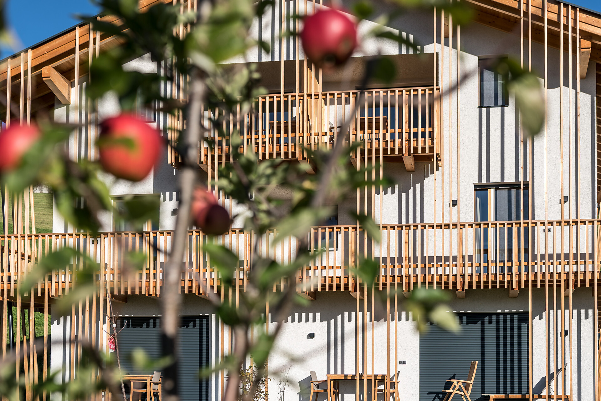 Hoferhof im Sommer