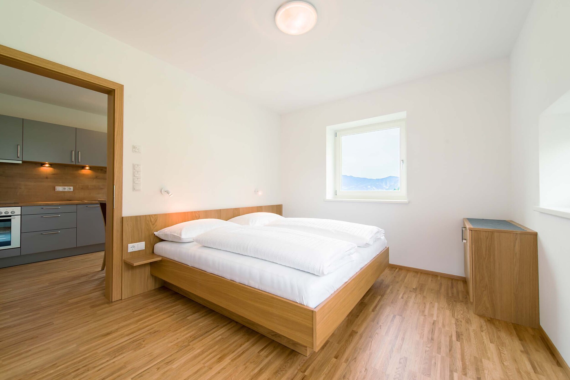 Room Apartment "Roen"