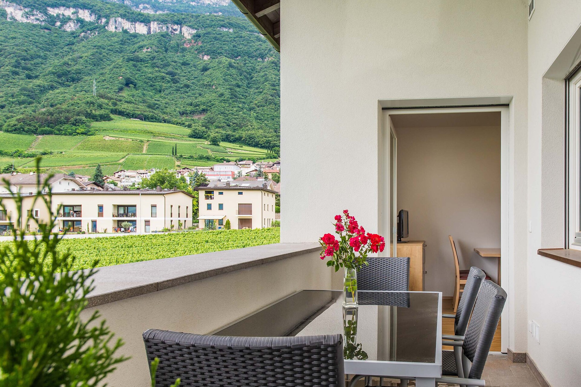 Terrace Apartment "Roen"