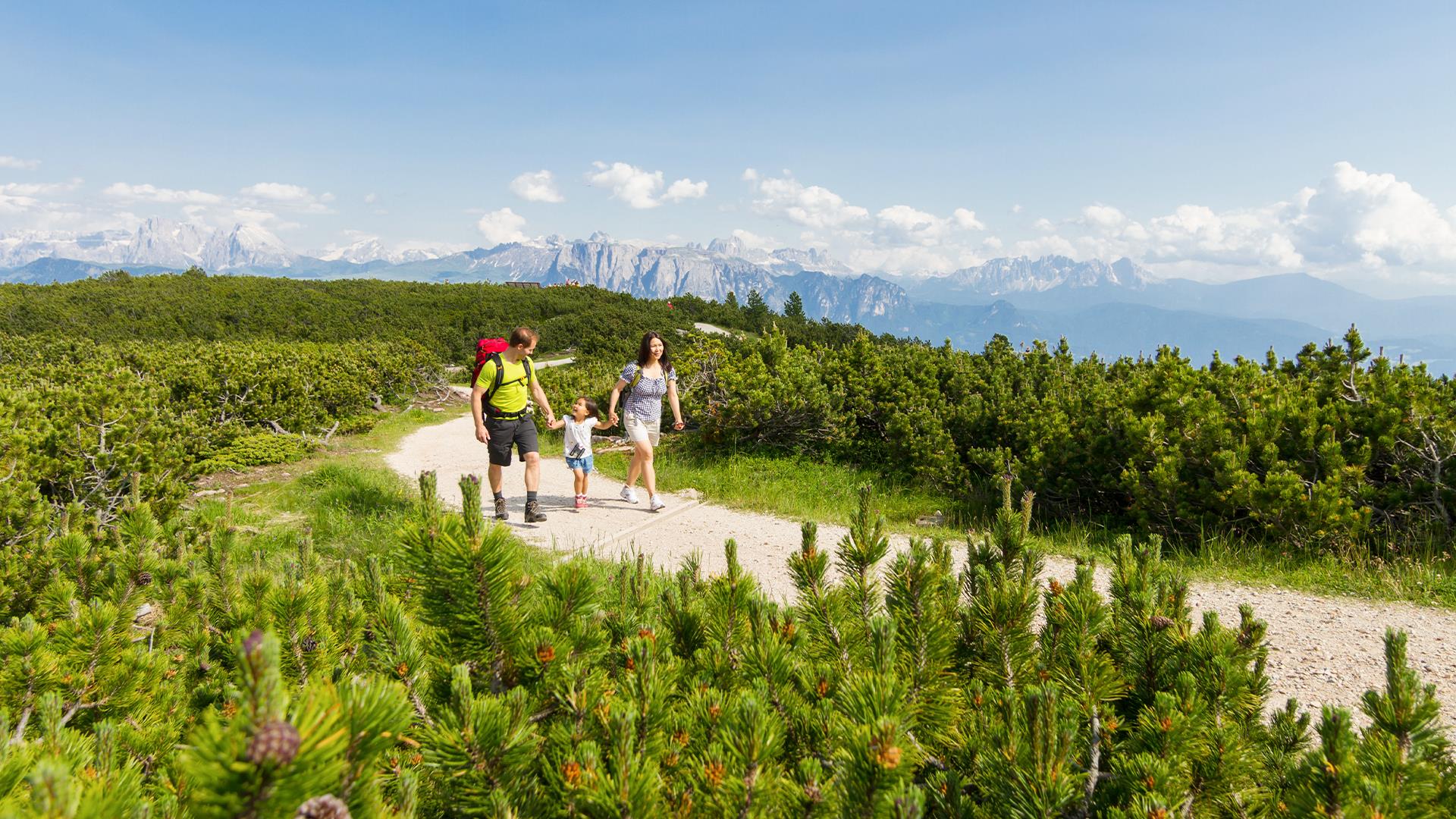 Hotel Dolomitenblick Ritten 26 suedtirol.info