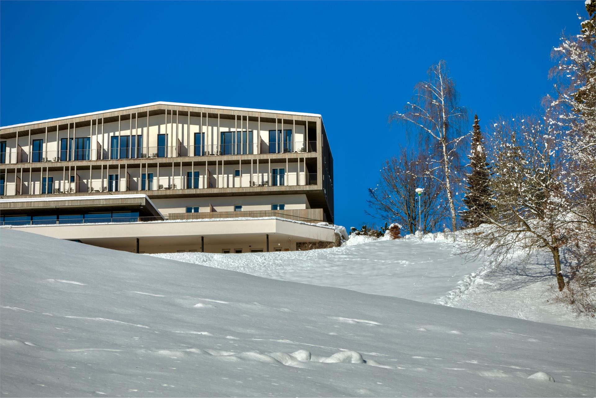 Hotel Lichtenstern Ritten 21 suedtirol.info