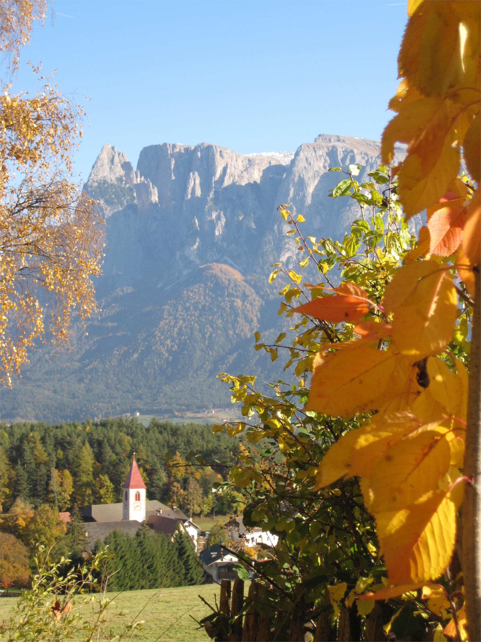 Hotel Lengsteinerhof Renon 4 suedtirol.info