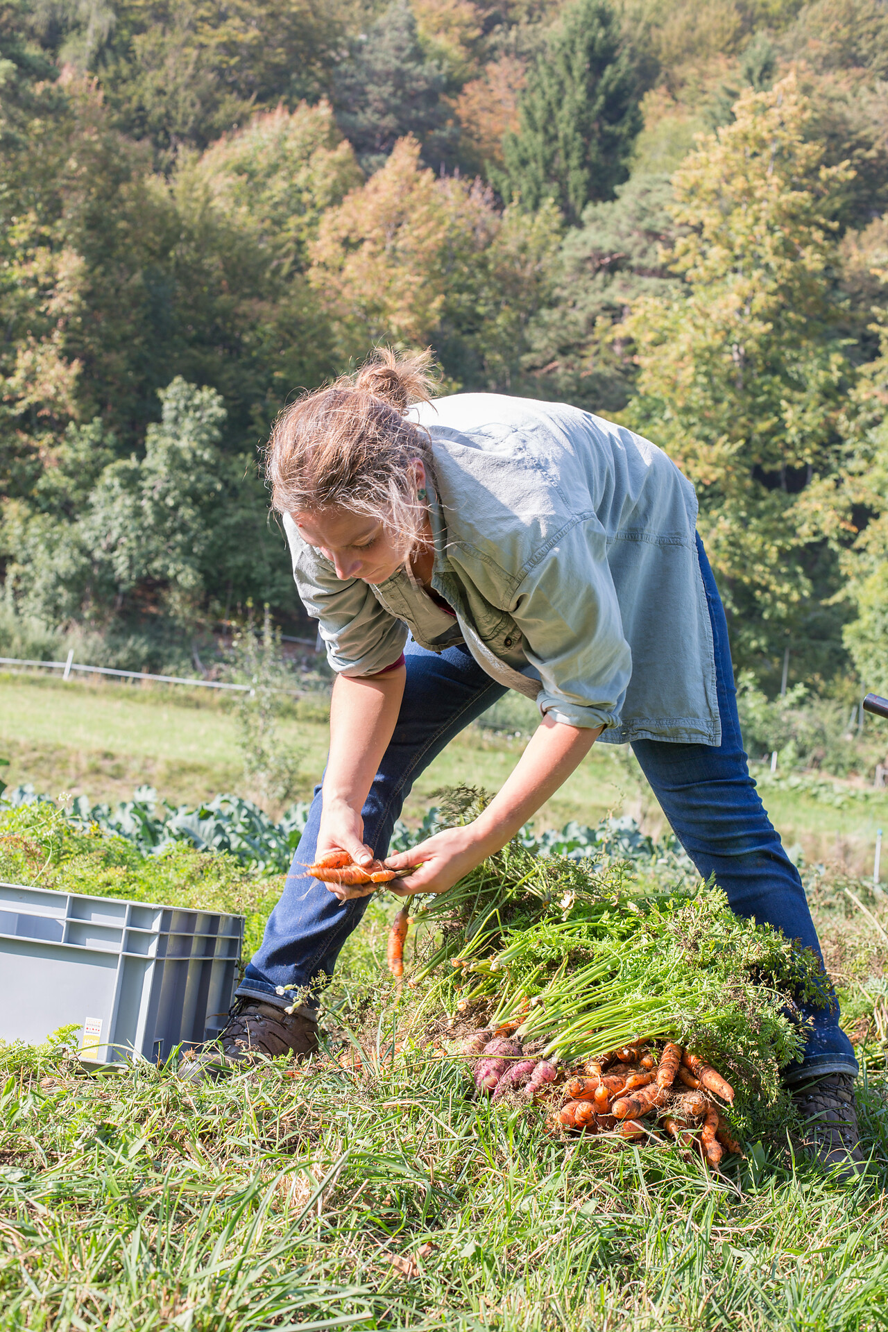 Hof Unternberg - Südtiroler Weinstraße - #28 - suedtirol.info