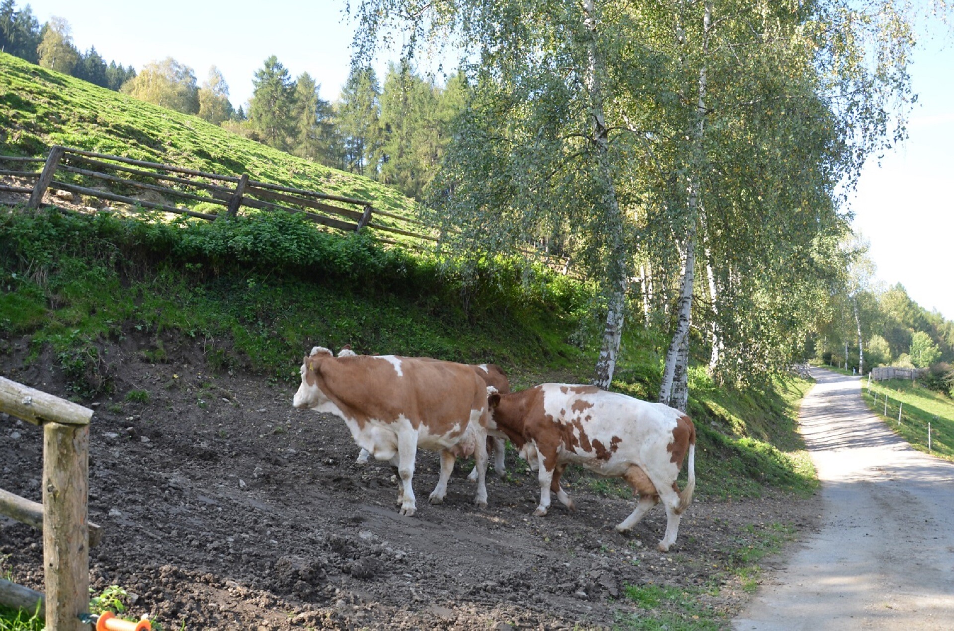 Hoferhof