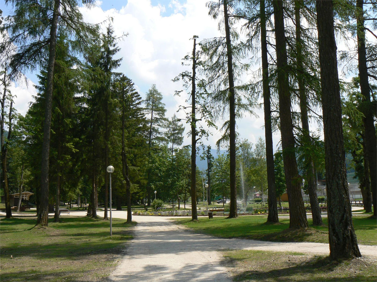 Slide 5