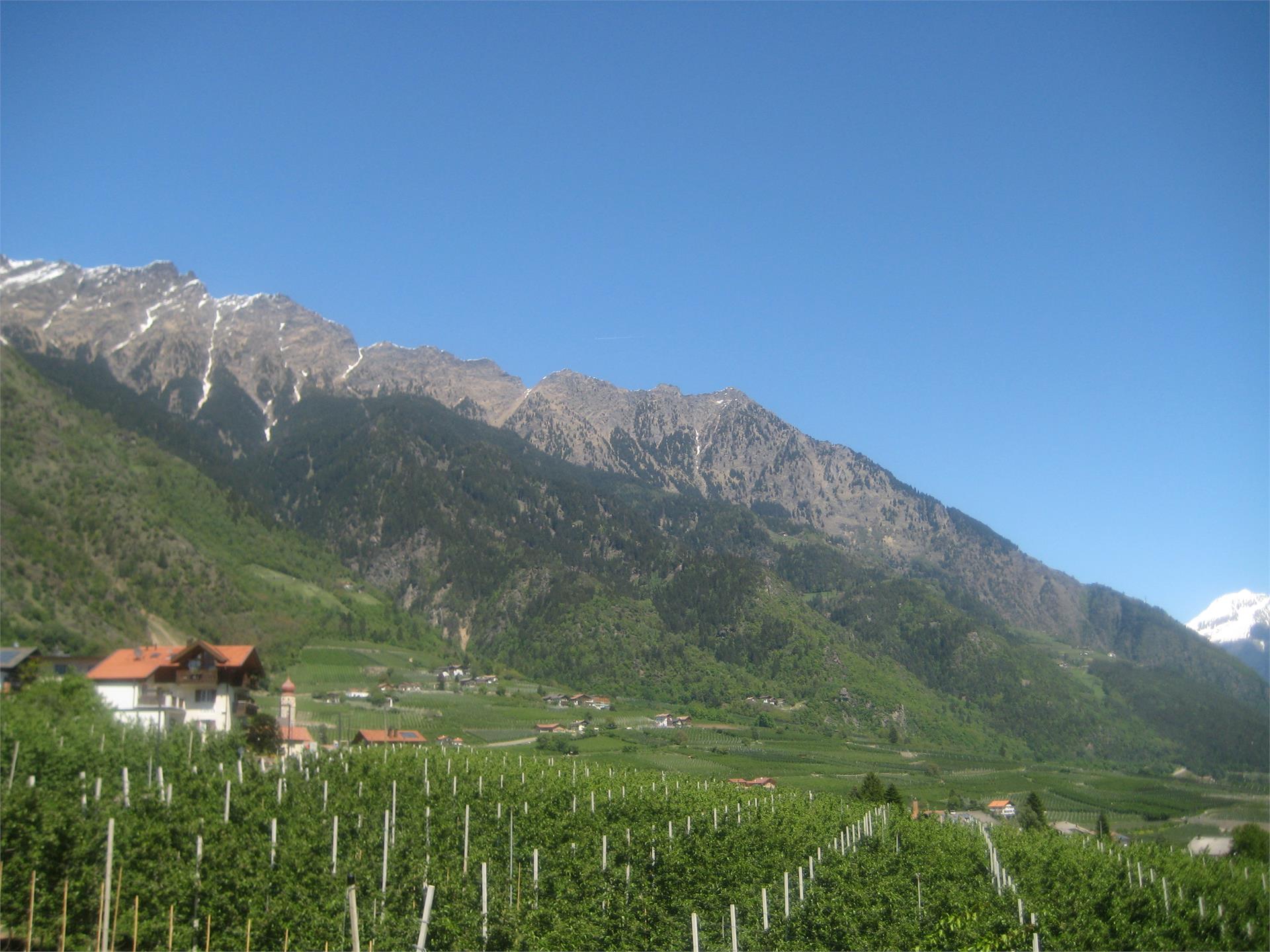 Haus Pföstlhof Partschins 7 suedtirol.info
