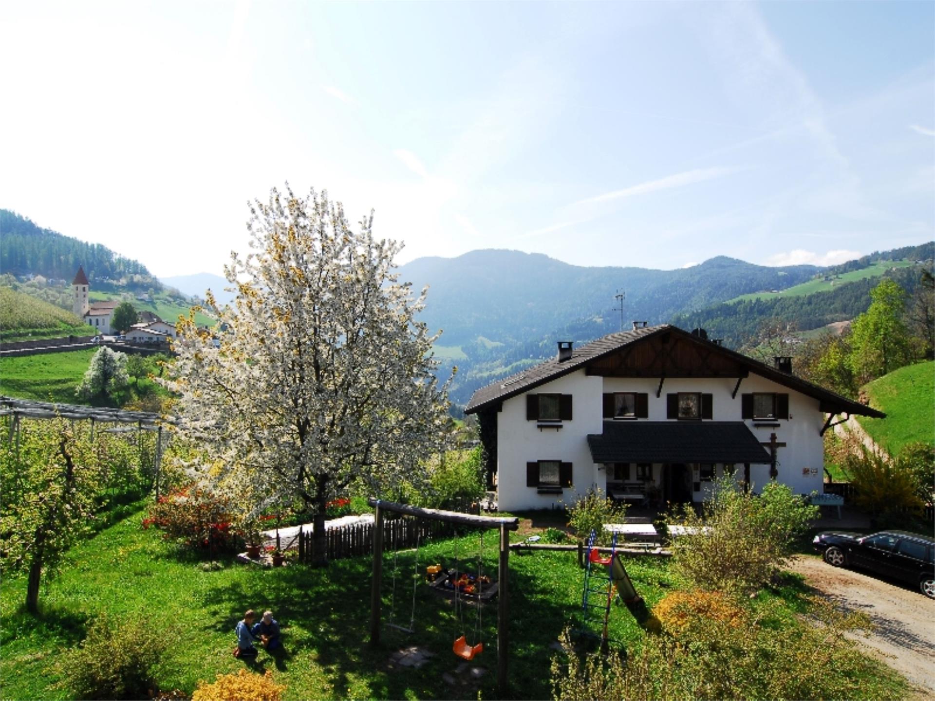 Hanighof Völs am Schlern 3 suedtirol.info