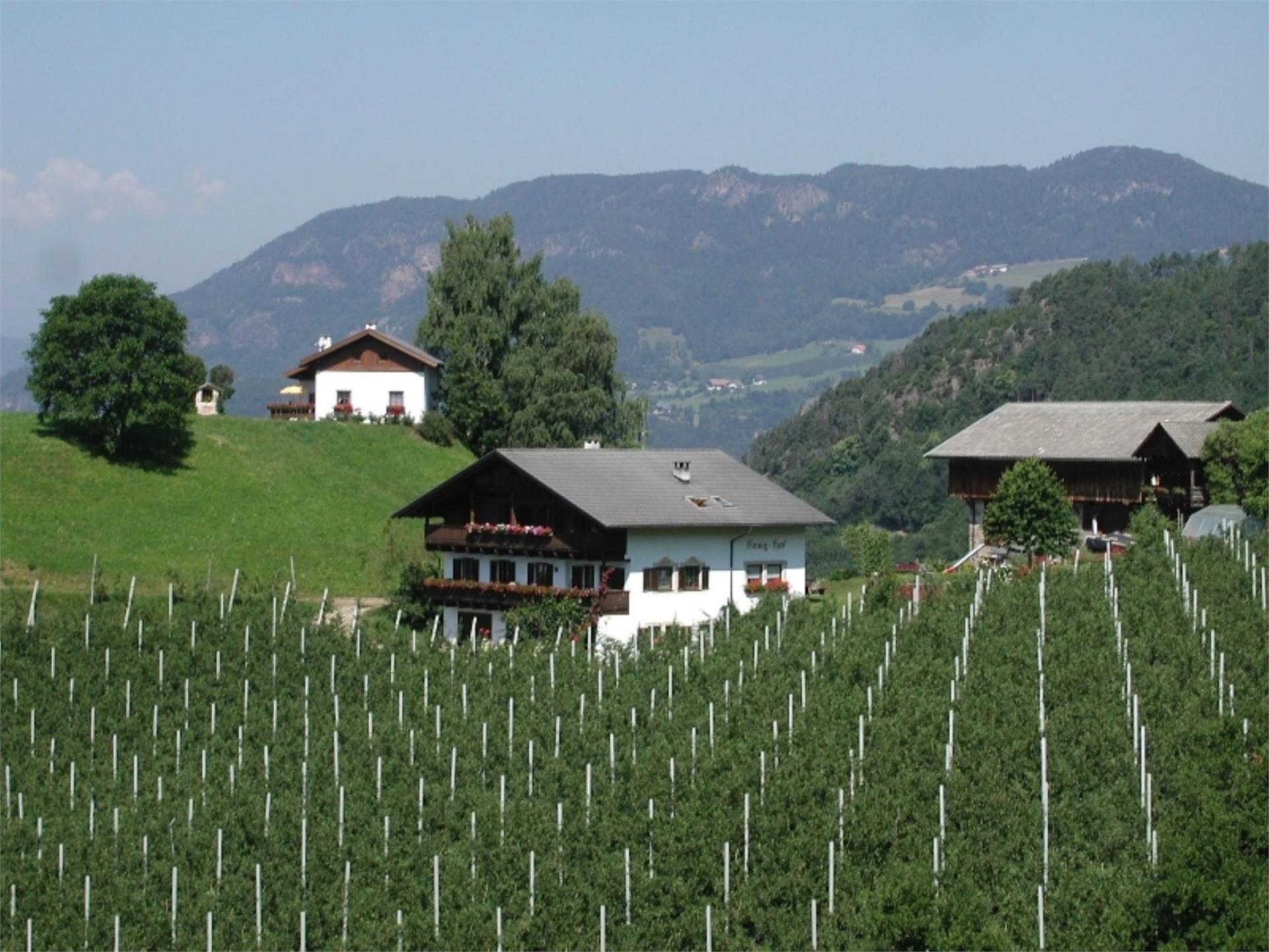 Hanighof Völs am Schlern 1 suedtirol.info