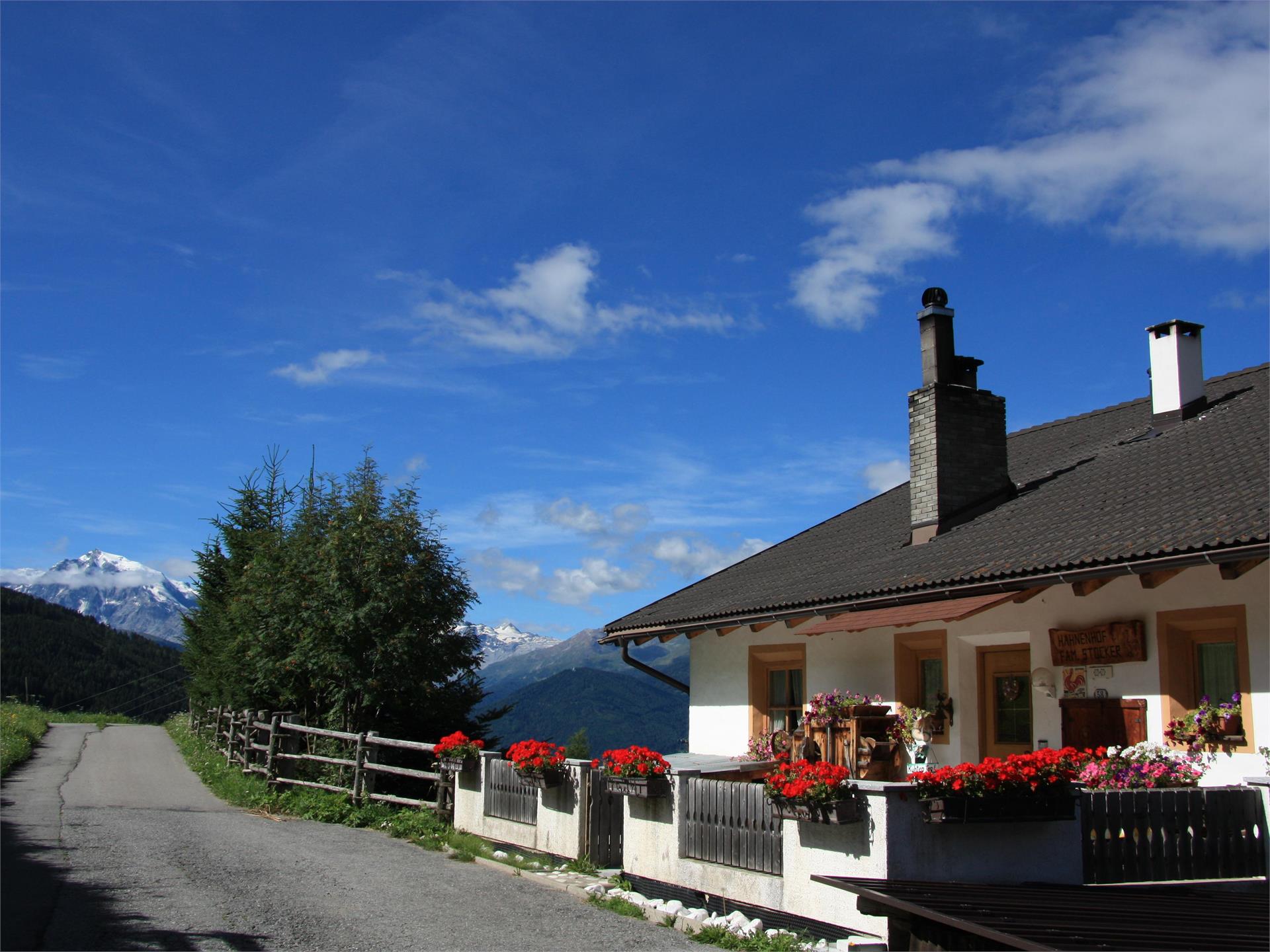 Hahnenhof Mals 1 suedtirol.info