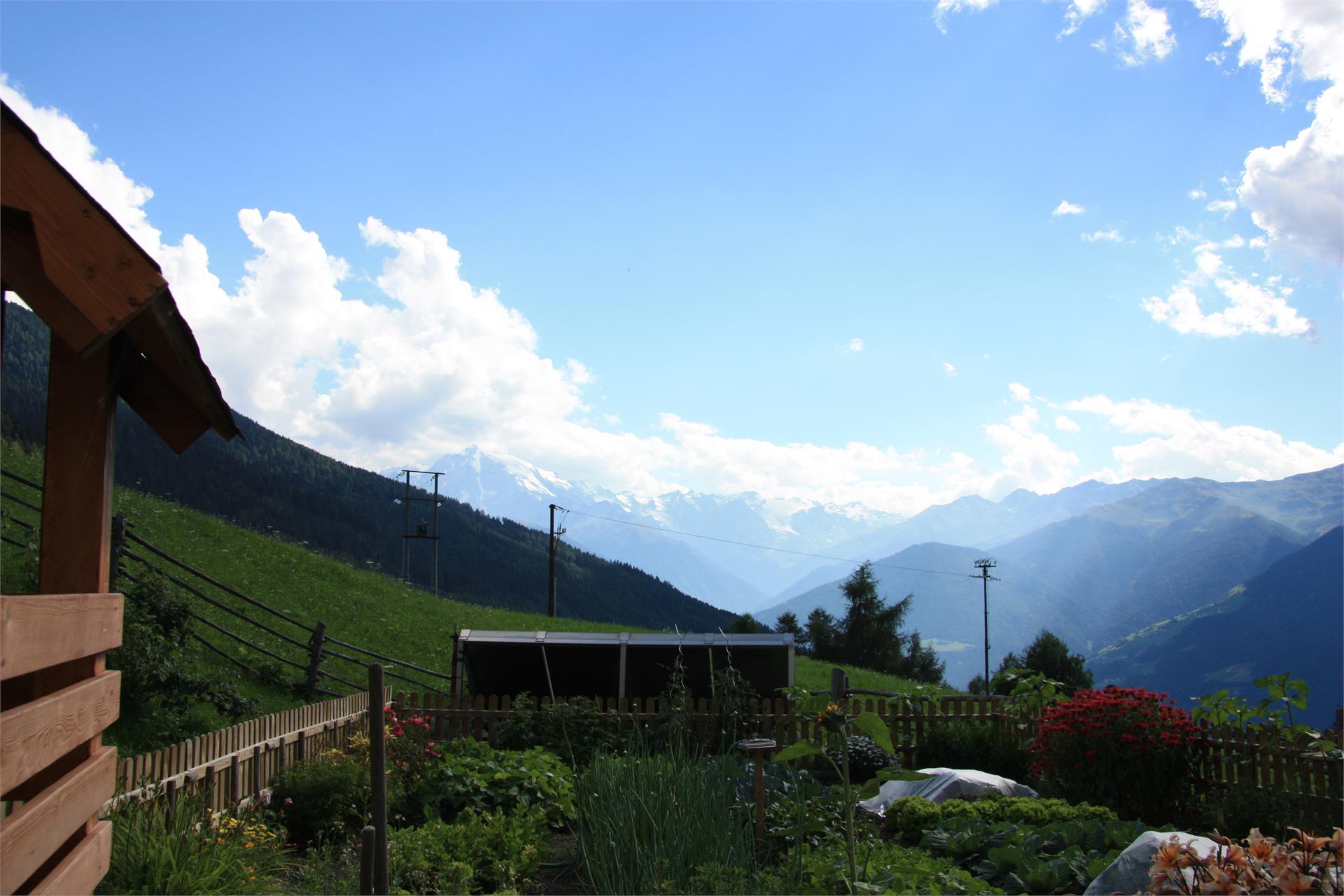 Hahnenhof Mals 8 suedtirol.info
