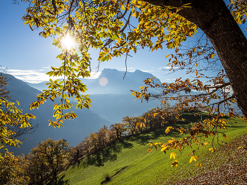 Autumn