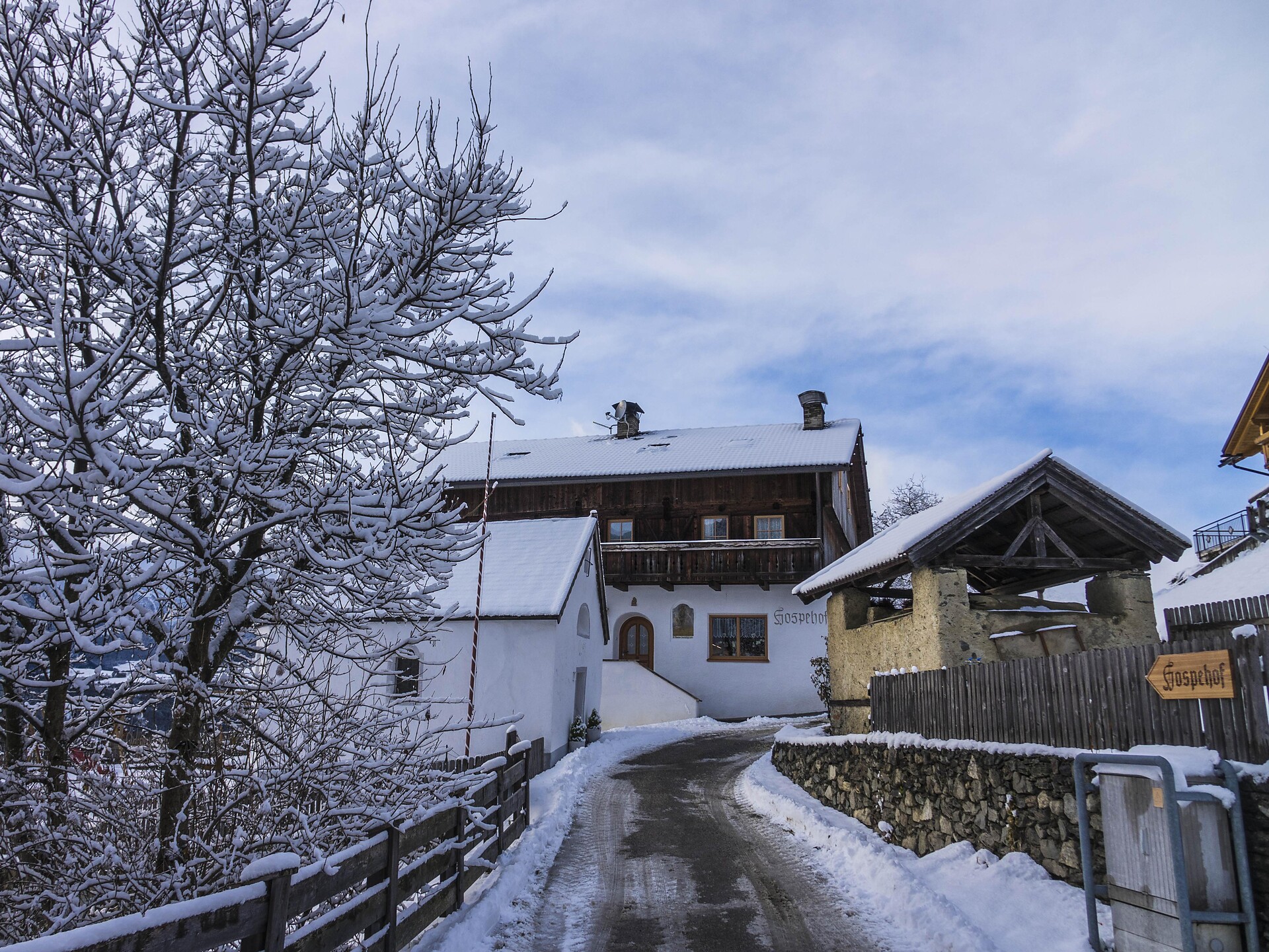 Hospehof Winter