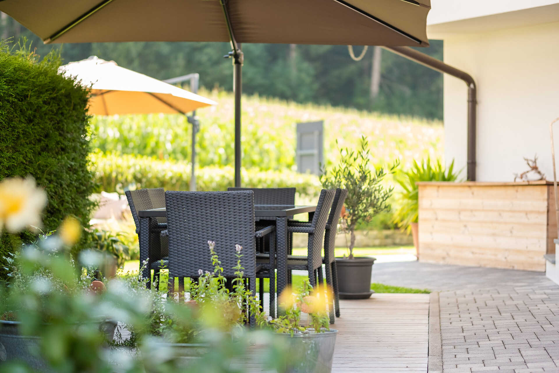 Willkommen in unserem Garten