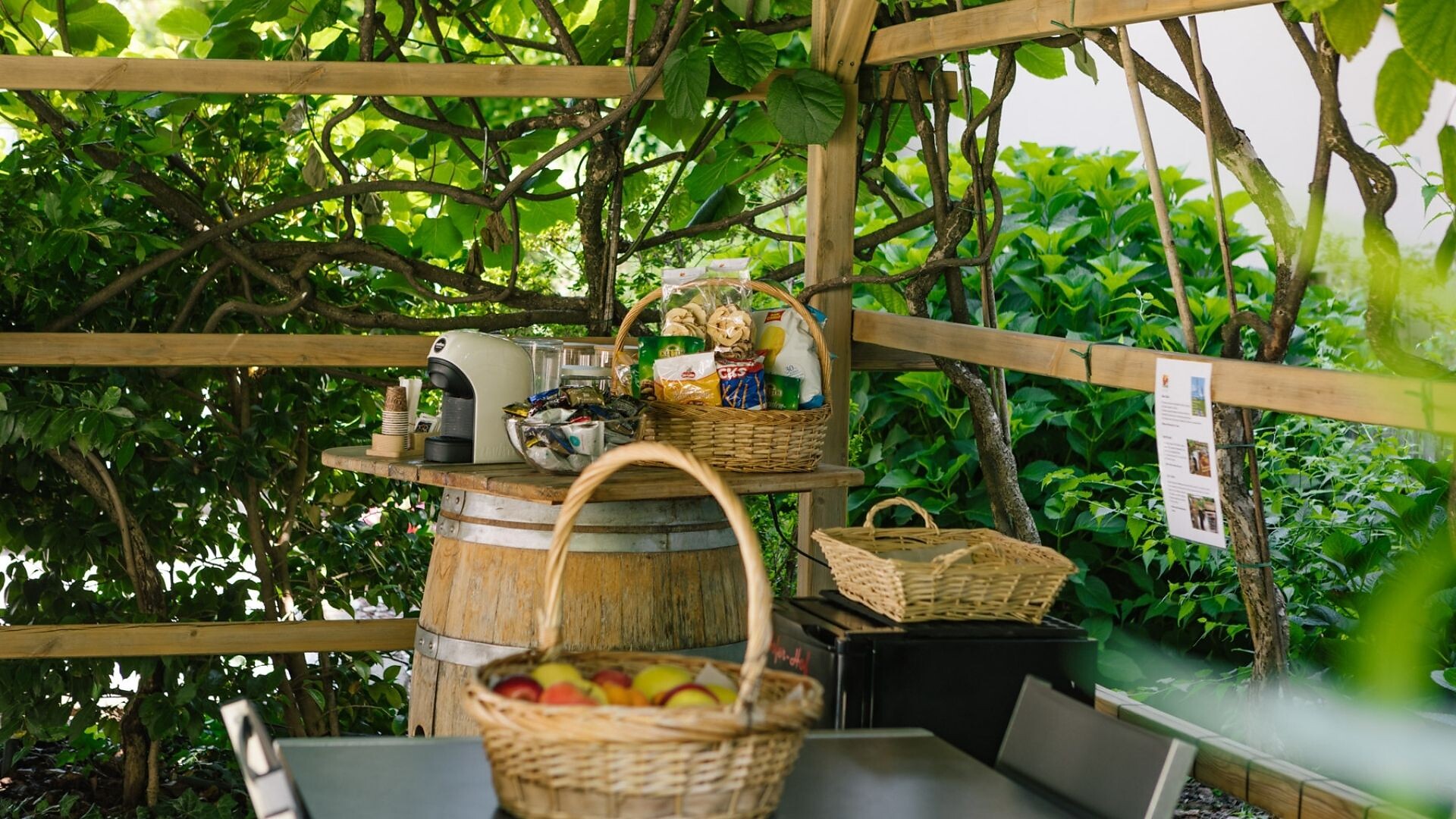 garden