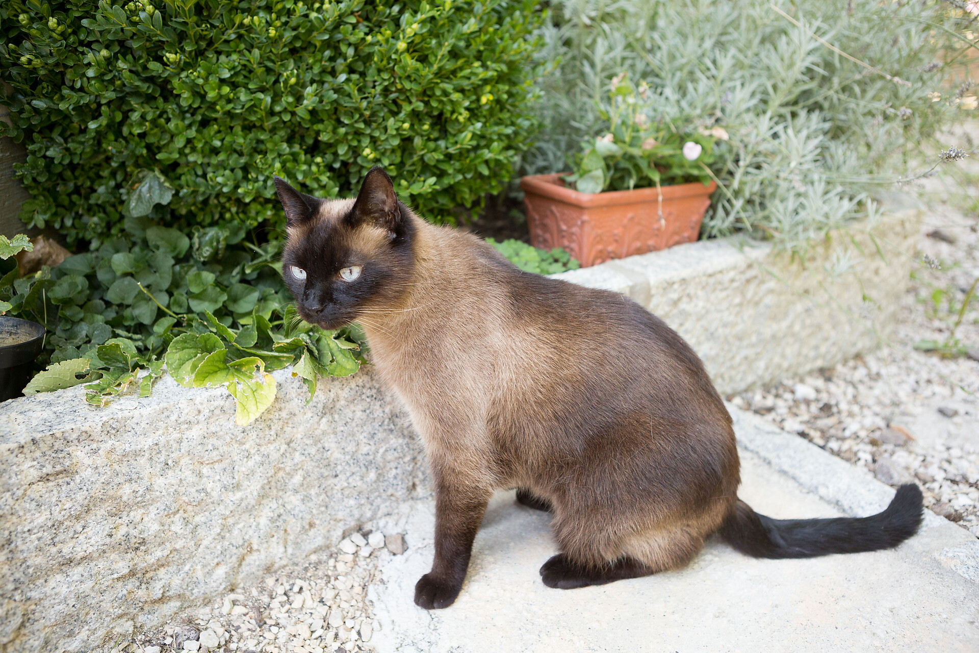 Haus Engethal - Meran und Umgebung - #9 - suedtirol.info