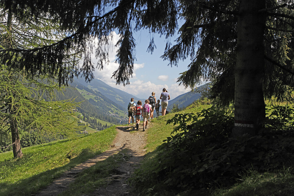 Wandern