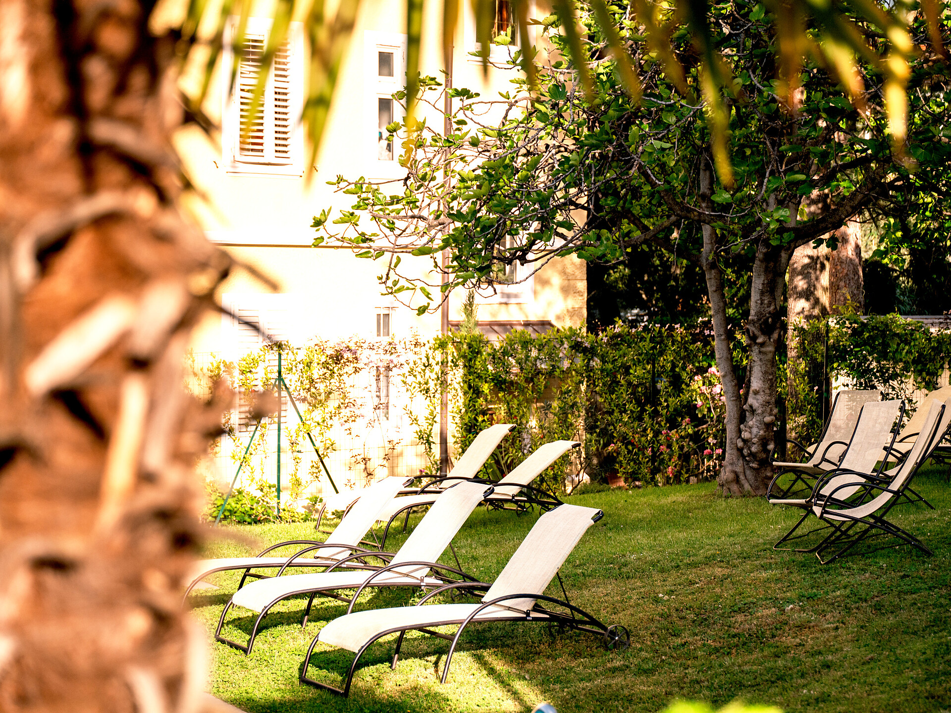 Hotel Villa Laurus
