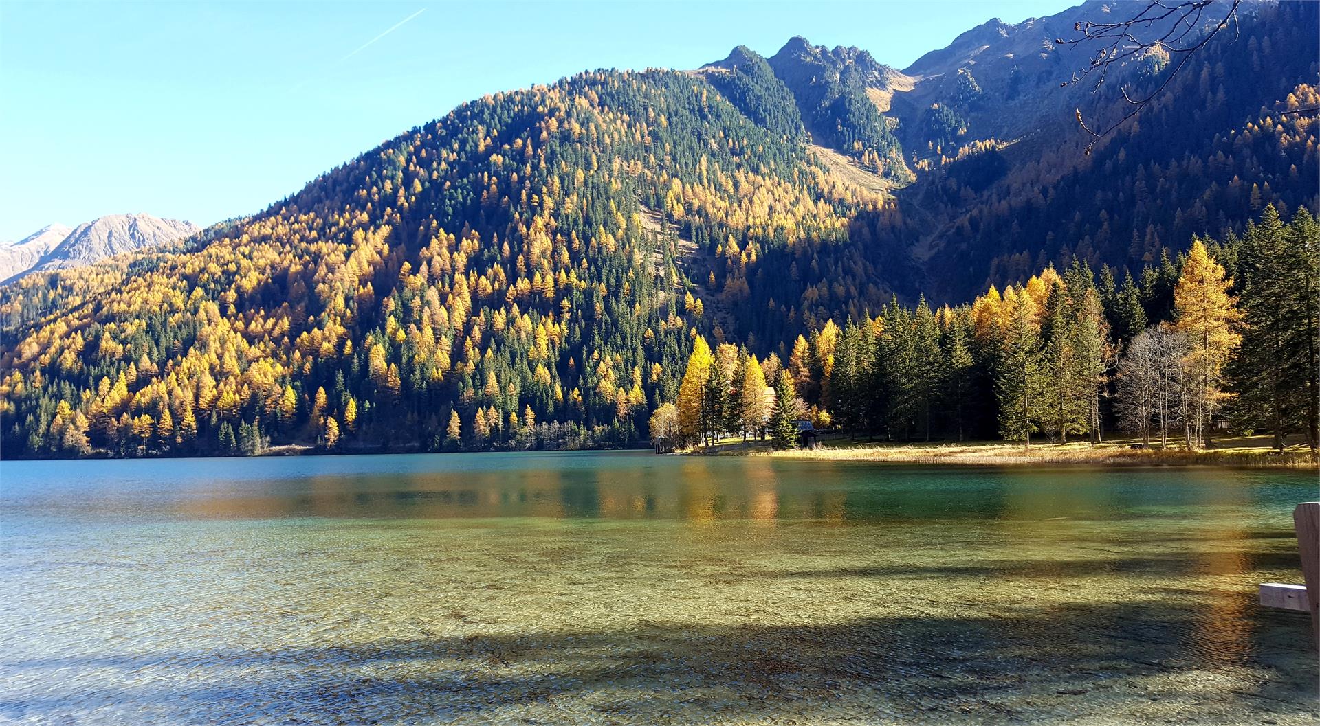 Haus Auerbrunn Rasun Anterselva 26 suedtirol.info