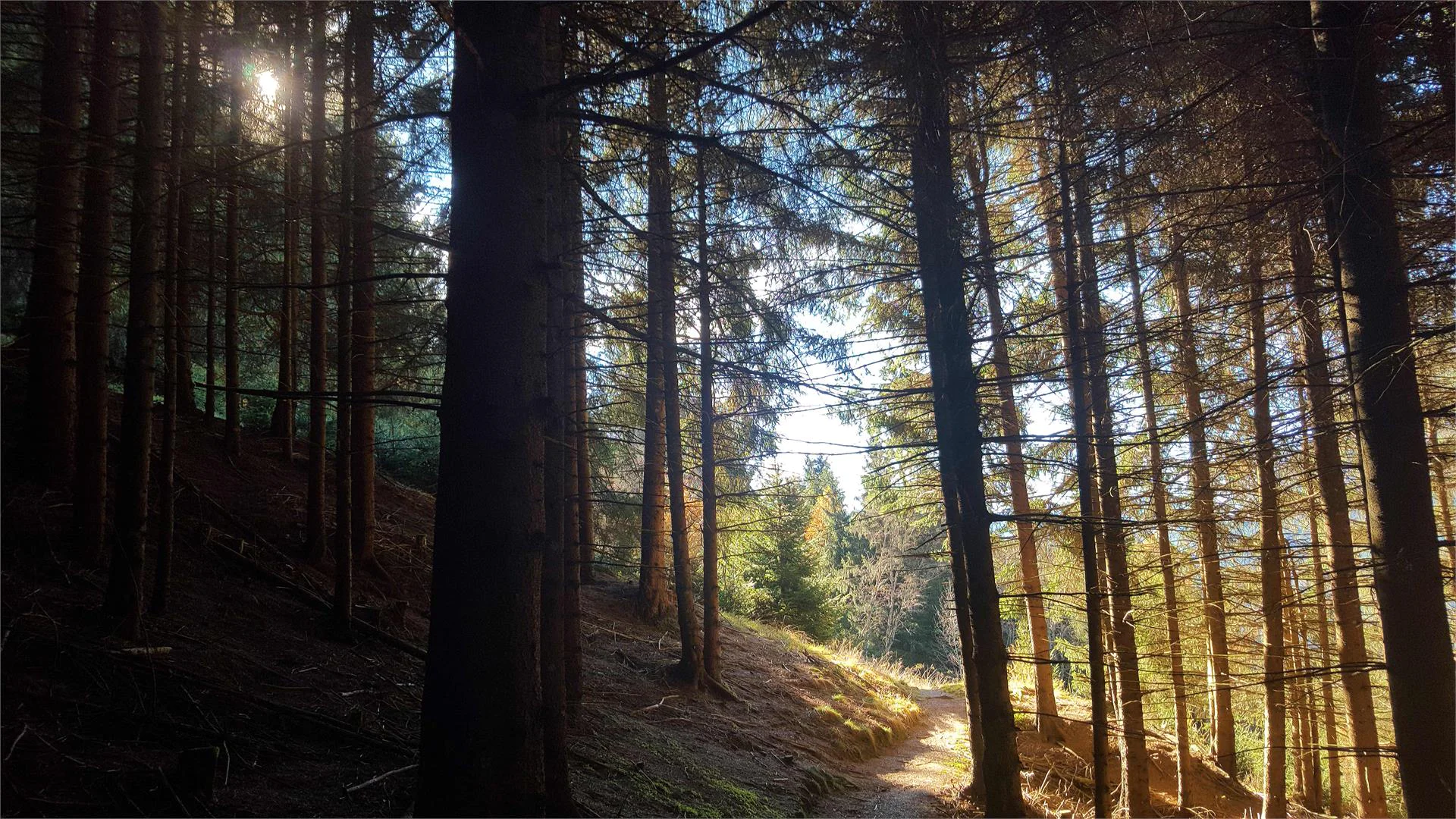 Haus Auerbrunn Rasun Anterselva 22 suedtirol.info