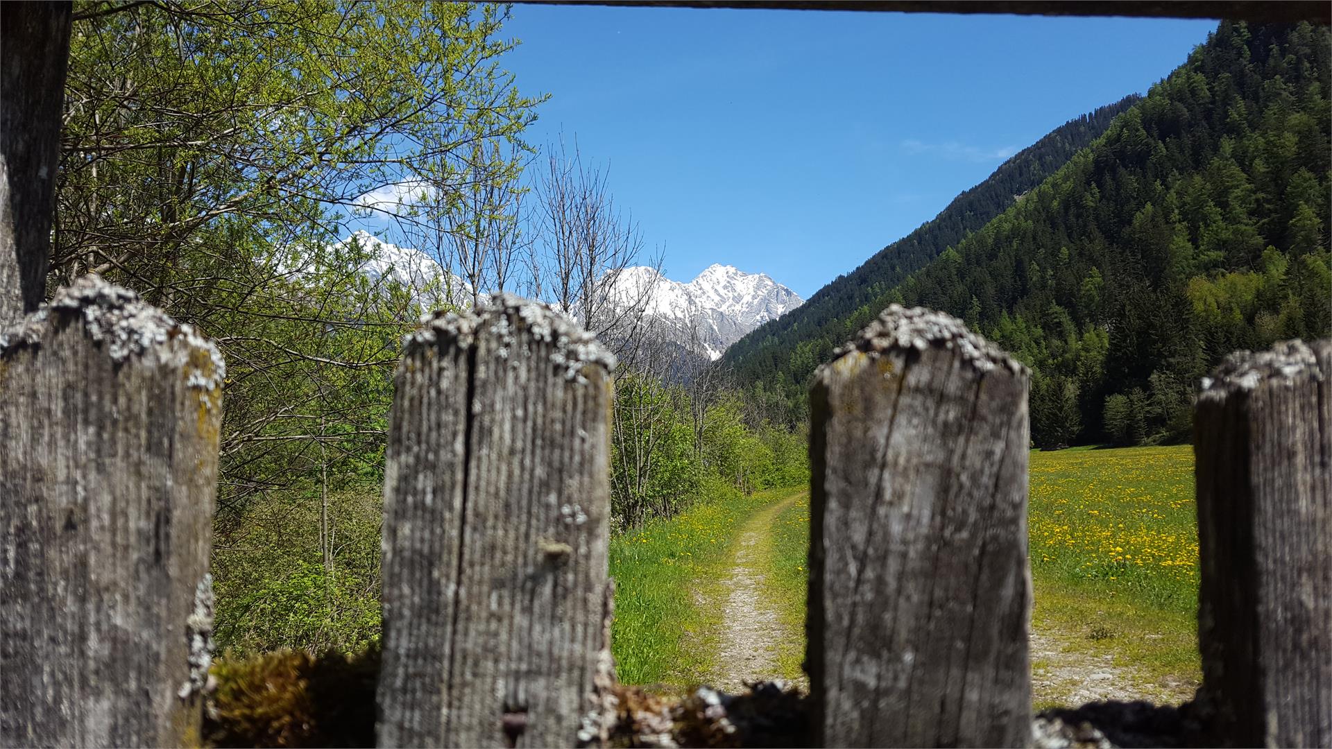 Haus Auerbrunn Rasun Anterselva 23 suedtirol.info