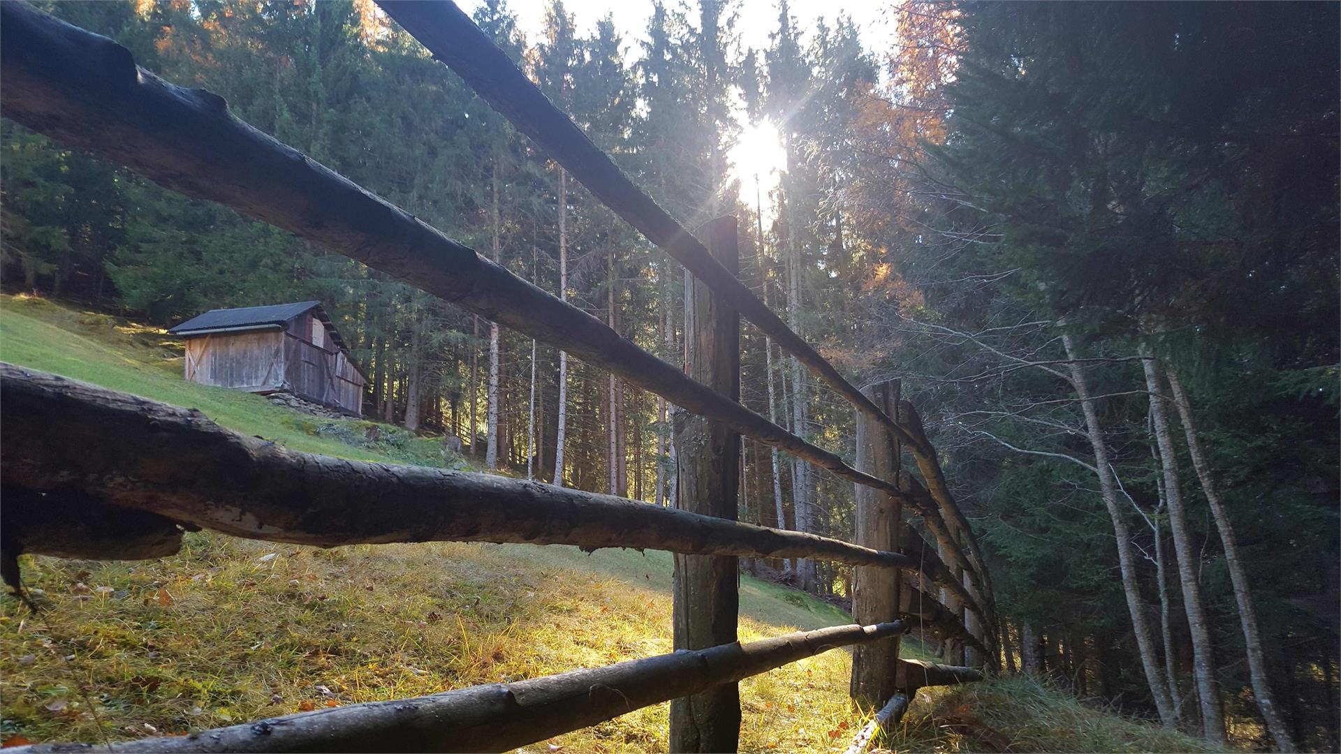 Haus Auerbrunn Rasun Anterselva 21 suedtirol.info