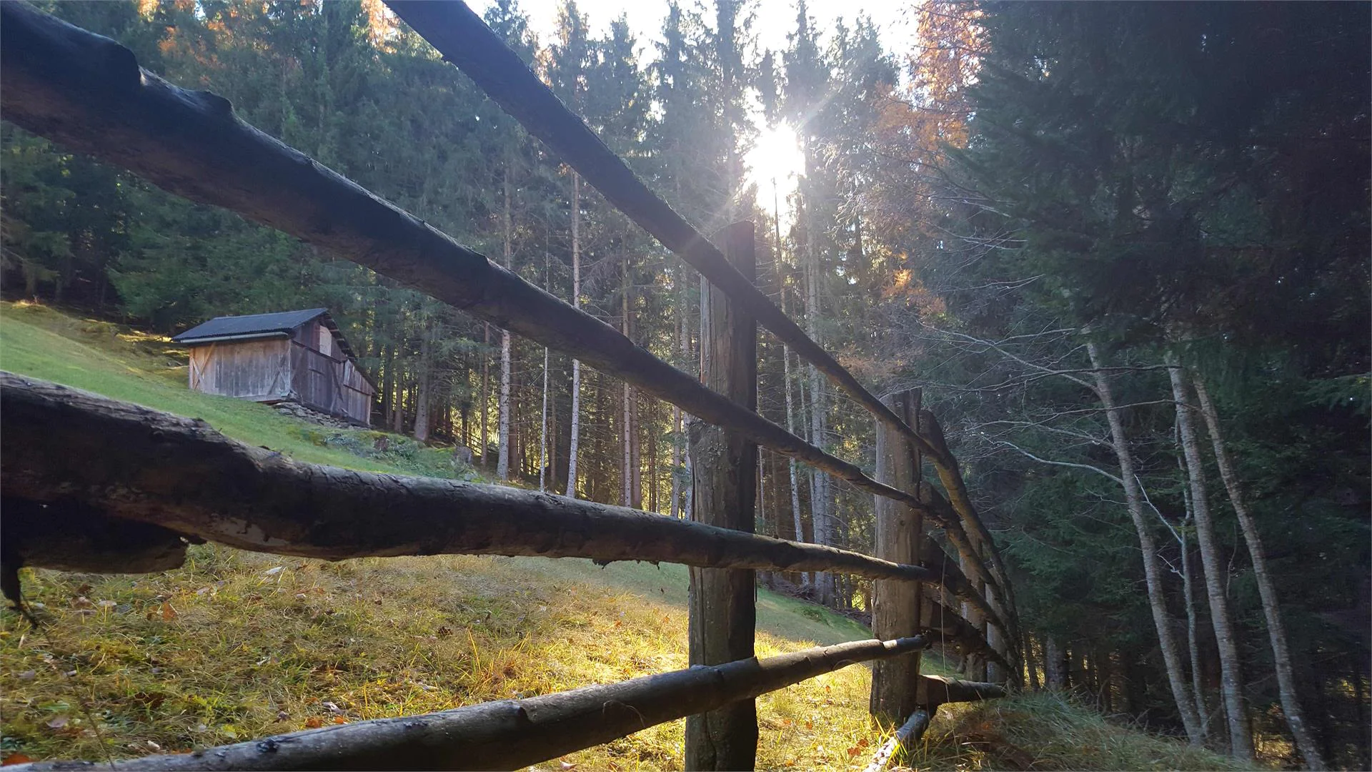 Haus Auerbrunn Rasun Anterselva 21 suedtirol.info