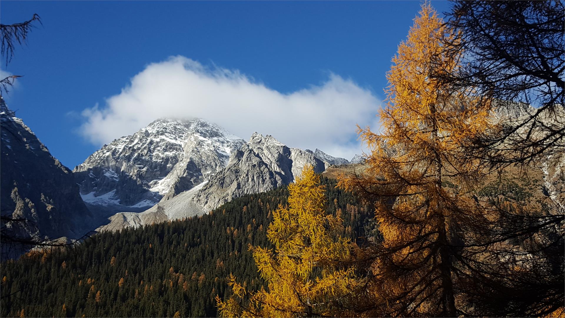 Haus Auerbrunn Rasun Anterselva 20 suedtirol.info
