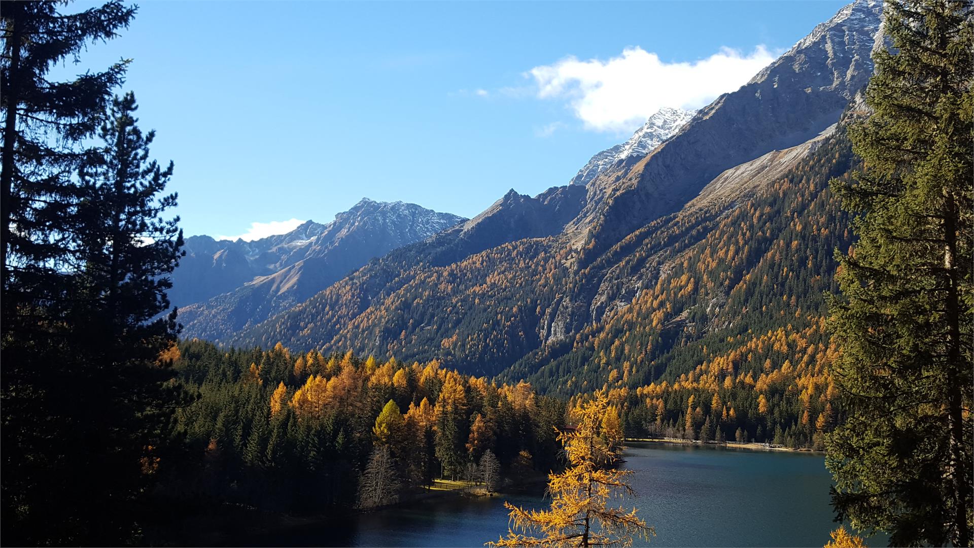 Haus Auerbrunn Rasun Anterselva 24 suedtirol.info