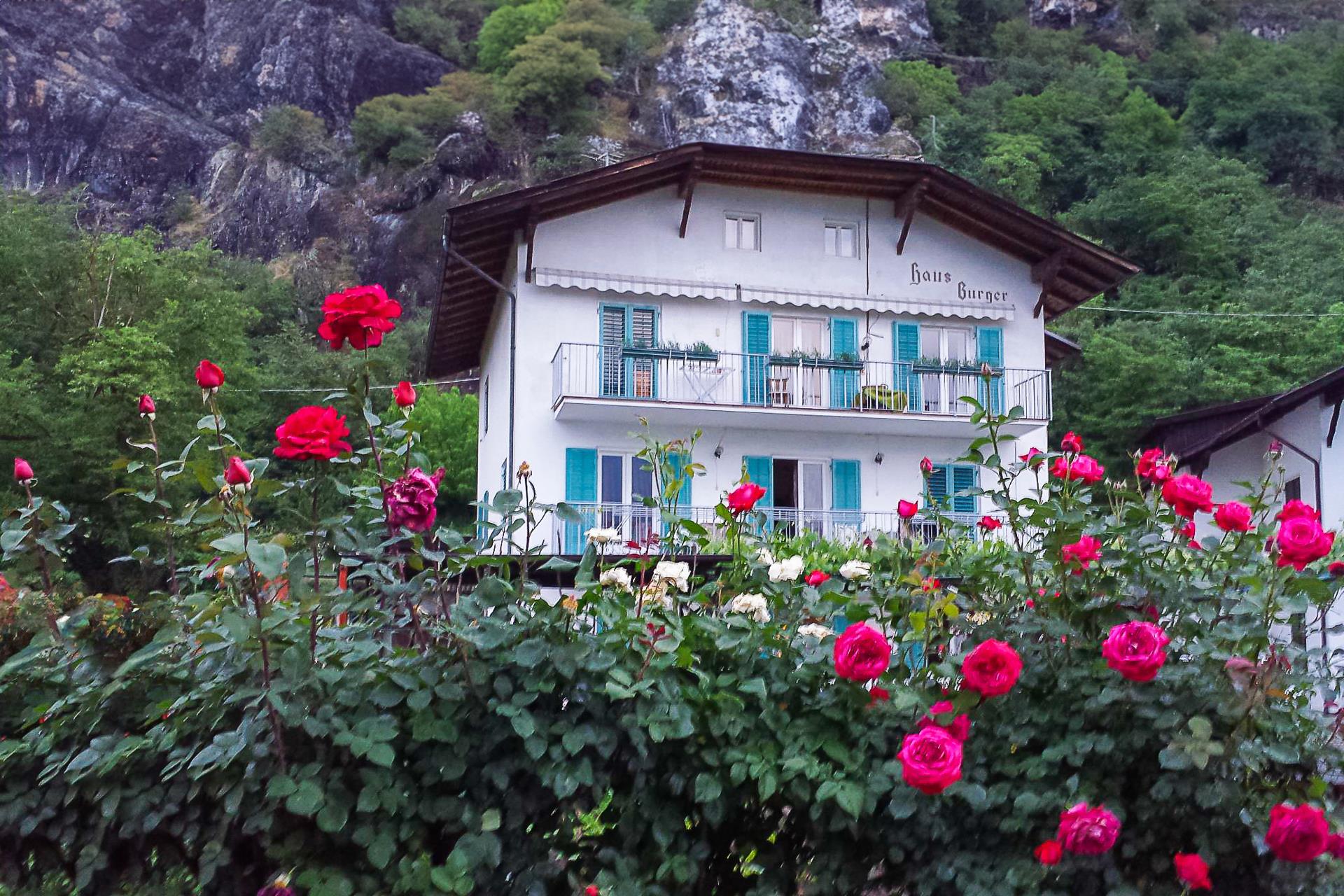 Haus Burger Terlan/Terlano 1 suedtirol.info